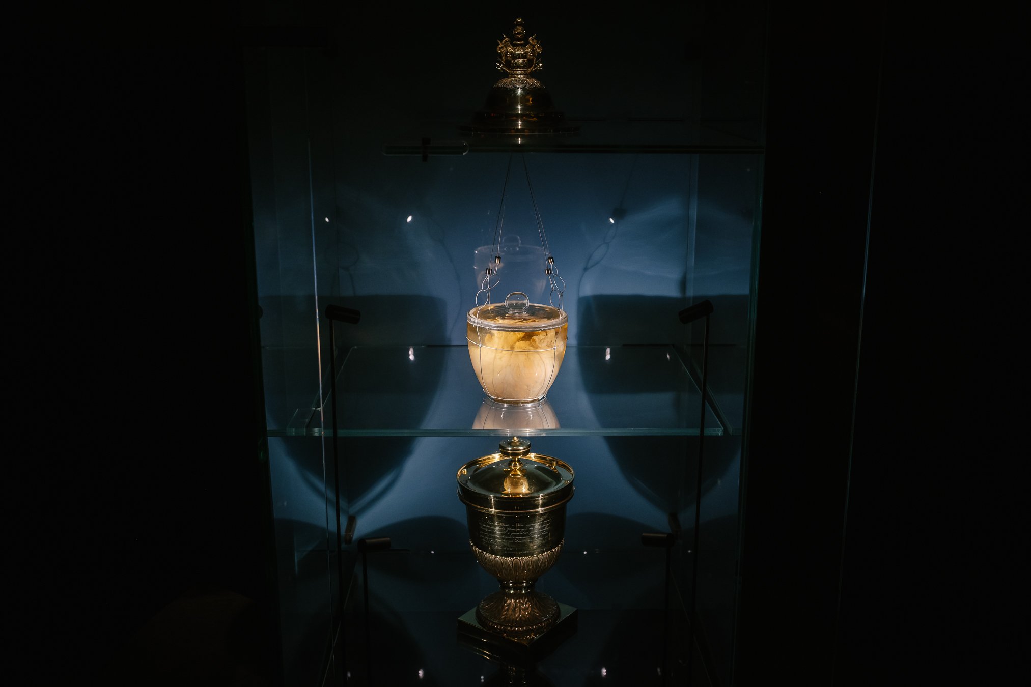 Mais de quatro mil pessoas viram o coração de D. Pedro IV no Porto
