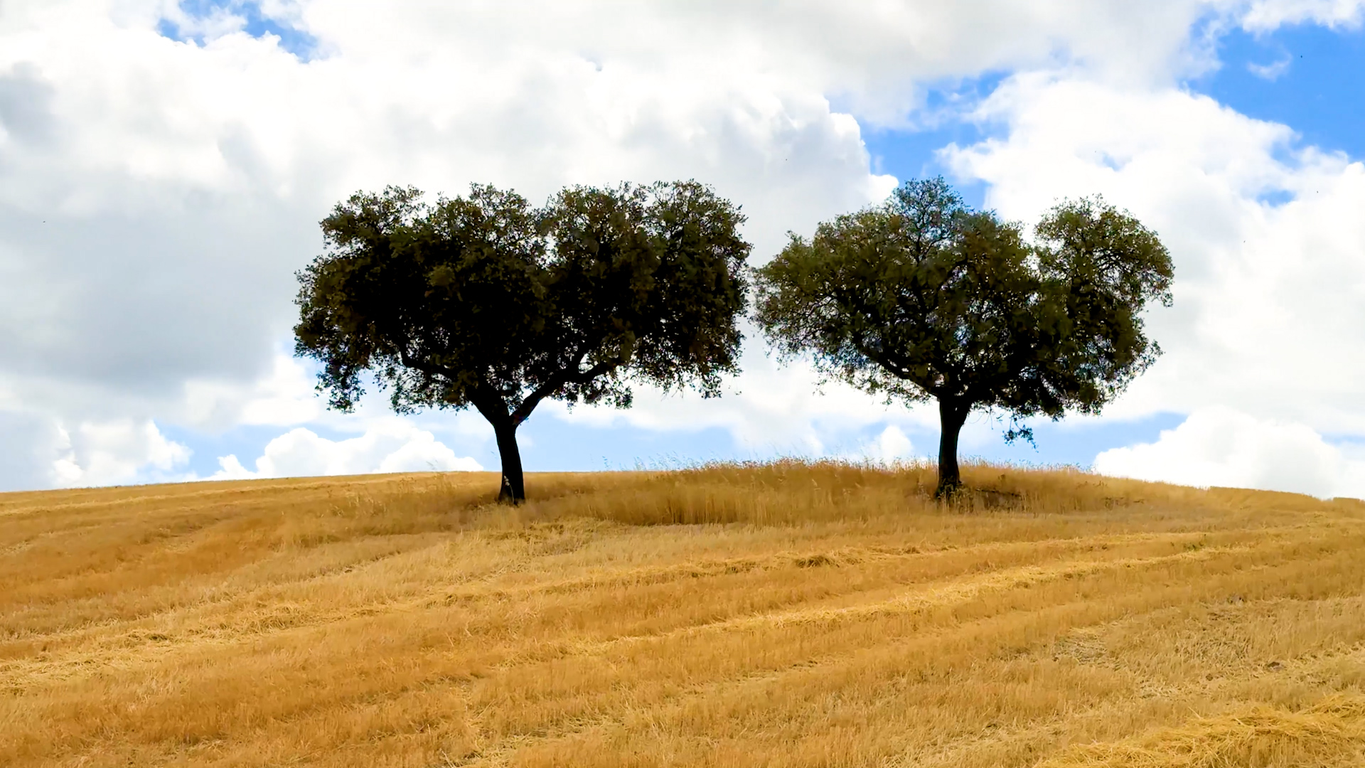 “O Resto é Paisagem” no Alandroal: terra do Deus Endovélico e um “Alentejo de caráter”