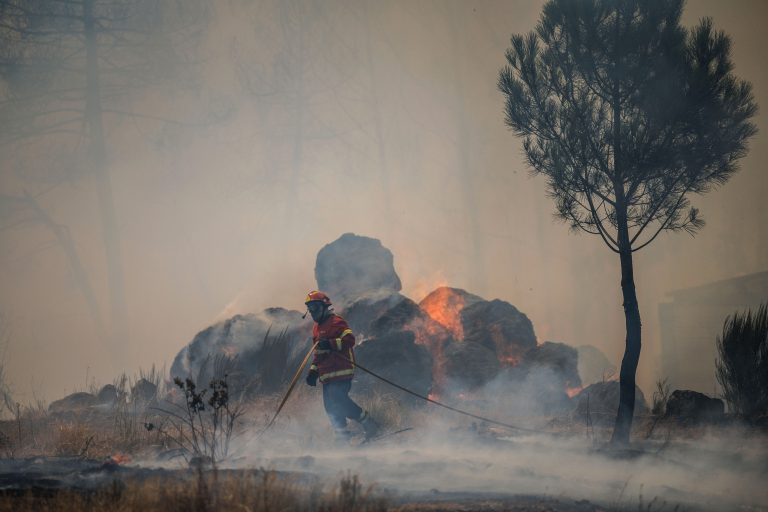 Incêndio em Vila Nova de Poiares mobiliza mais de 270 operacionais. Aldeia de Sabouga em risco