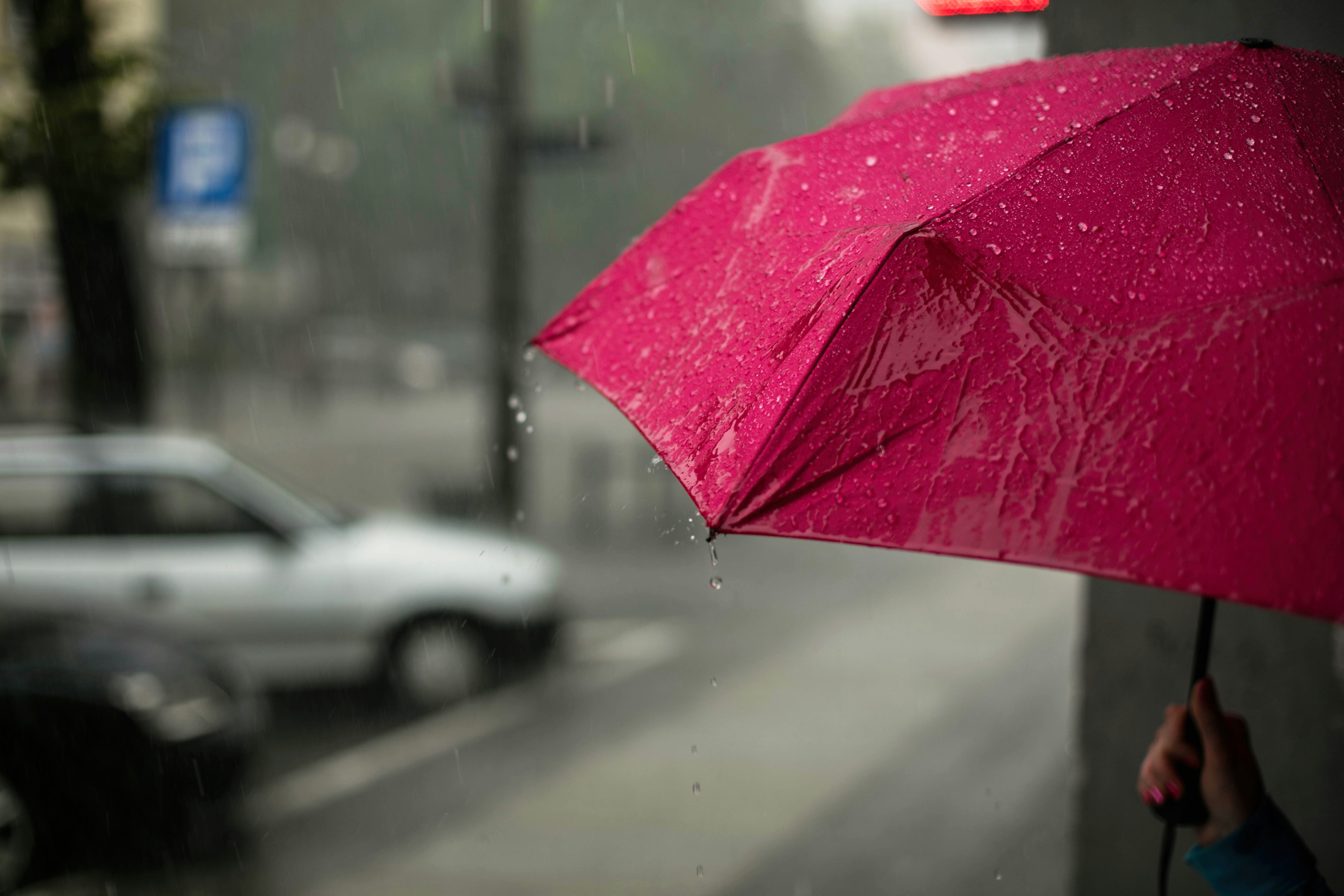 Chuva e trovoada marcam este sábado: aguaceiros podem ser fortes e acompanhados de granizo