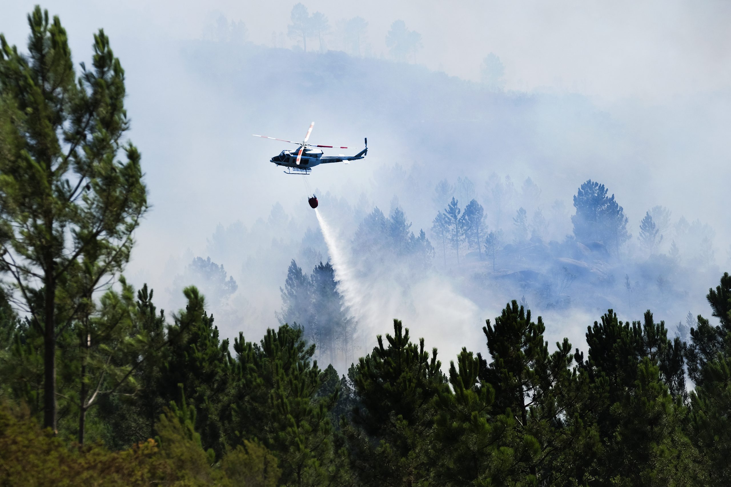 Incêndio de Proença-a-Nova com perímetro de mais de 55 quilómetros