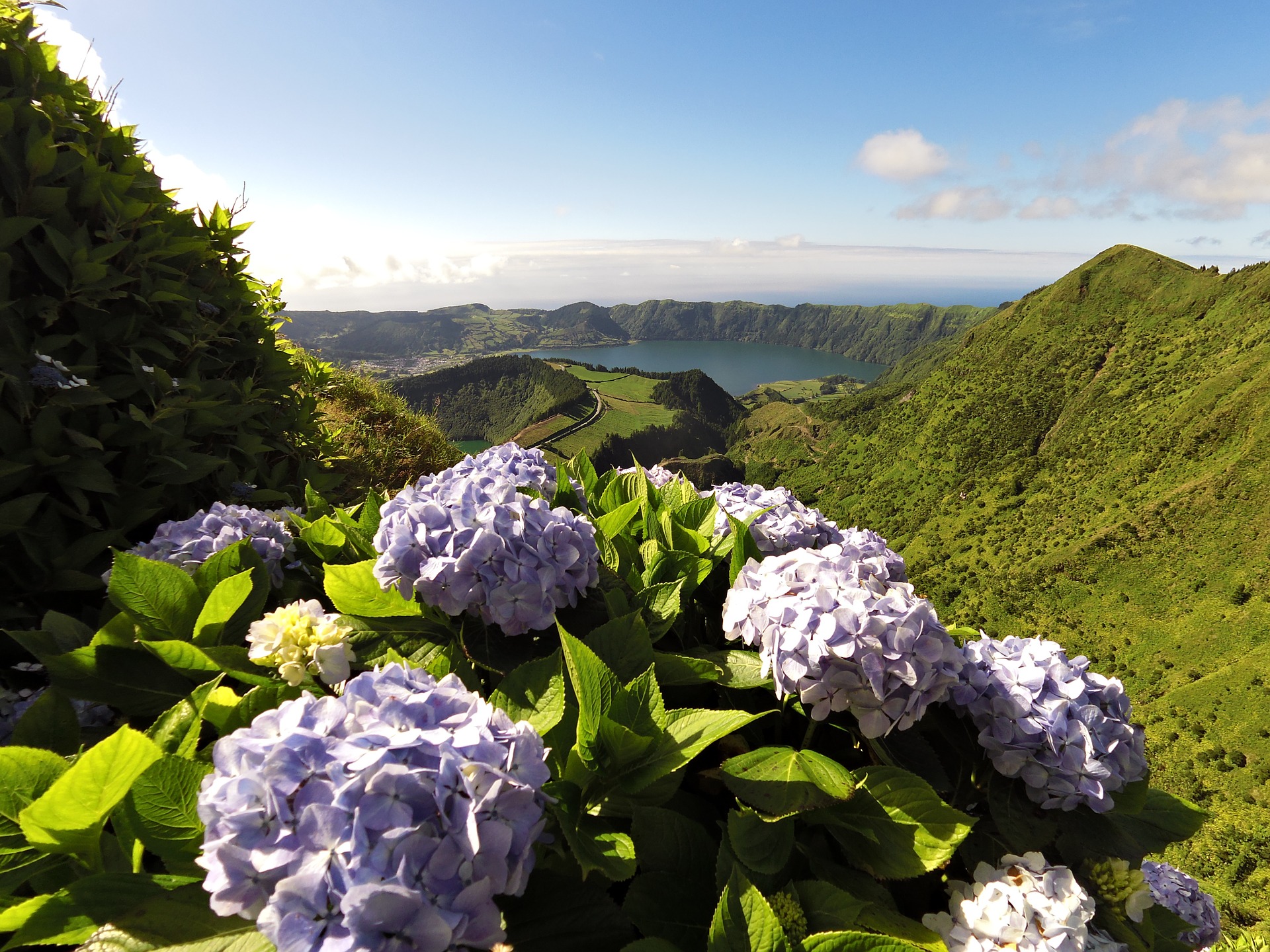 Sindicato quer carreira especial de inspeção das atividades económicas nos Açores
