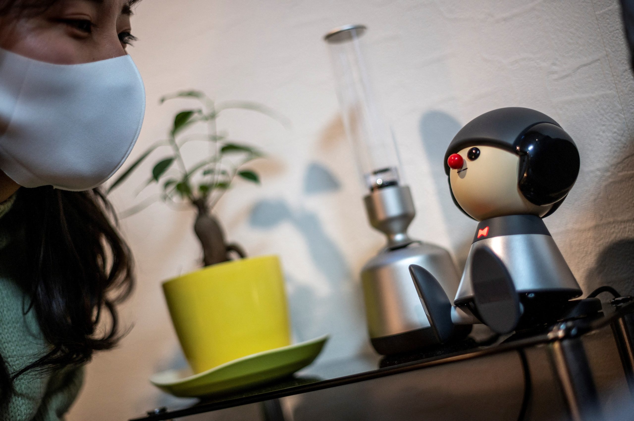 “Charlie, diz-me algo interessante”. Robôs de companhia confortam japoneses durante a pandemia
