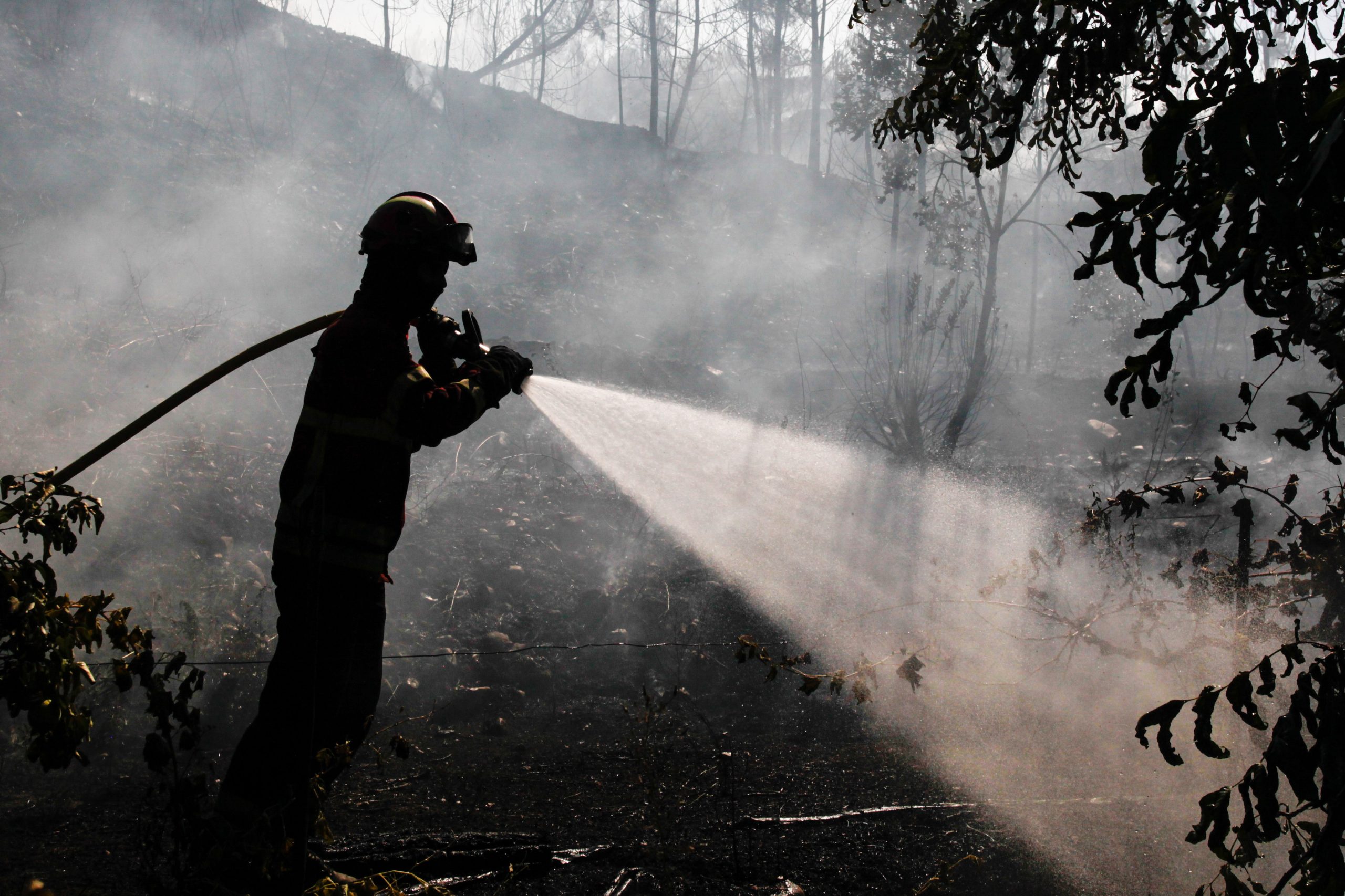 Incêndios: Dois fogos em Vila Verde mobilizam quase 200 homens e quatro meios aéreos