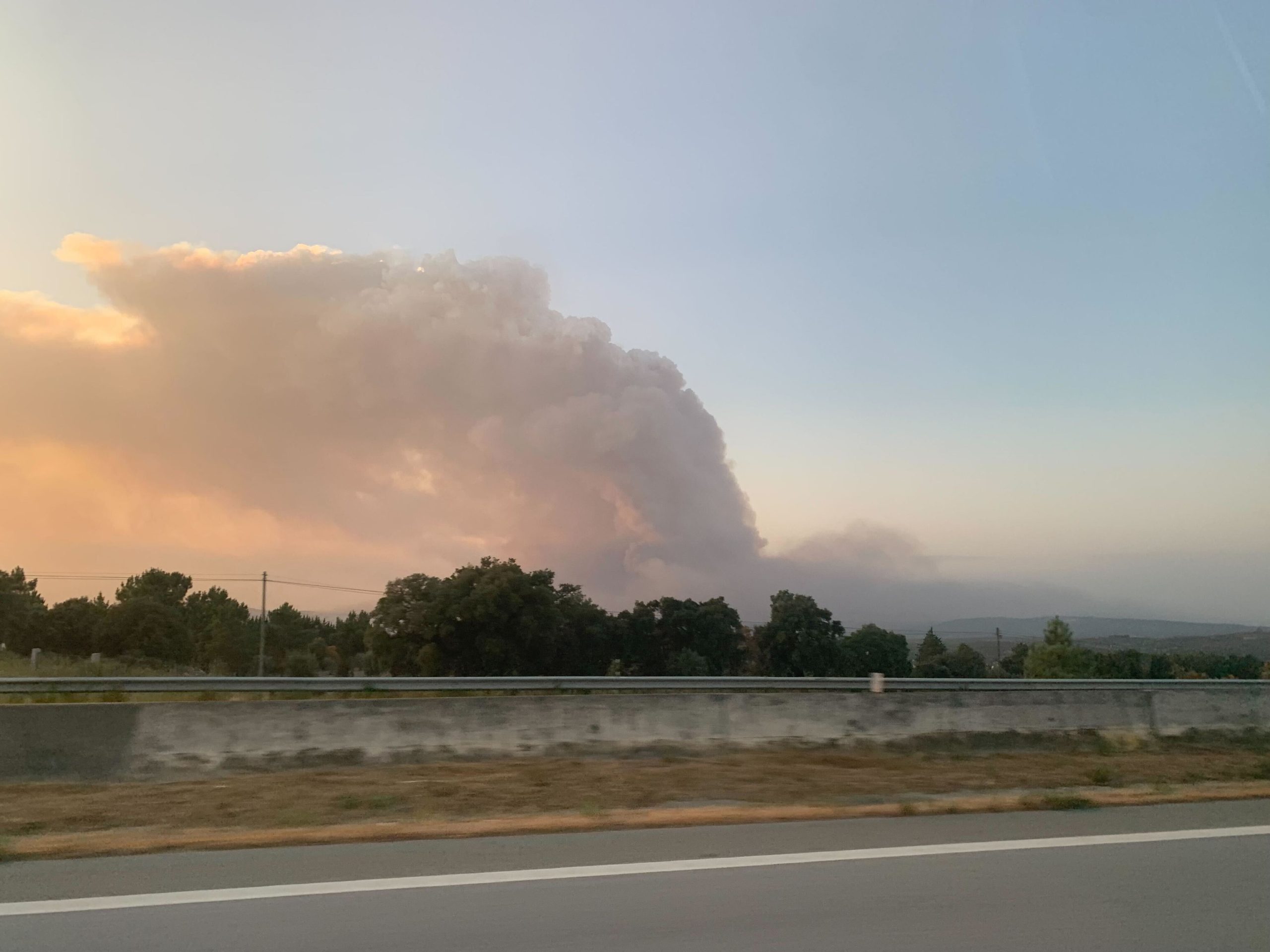 Incêndio em Trancoso mobiliza mais de 200 operacionais e está parcialmente dominado