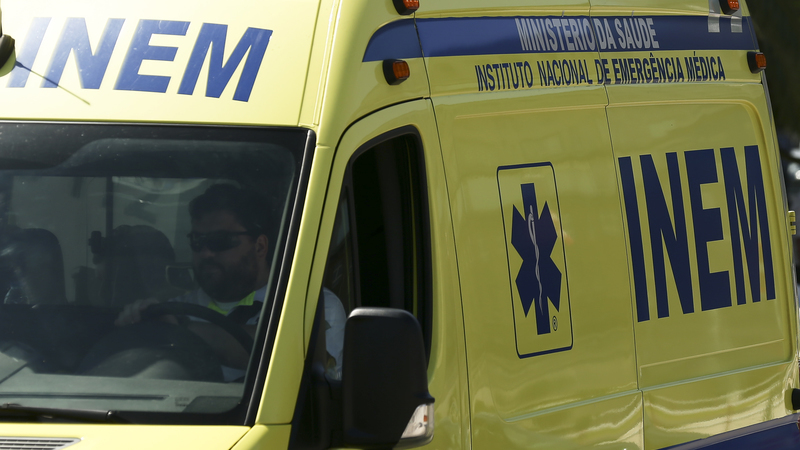 Homem morre após queda de uma árvore em Miranda do Douro