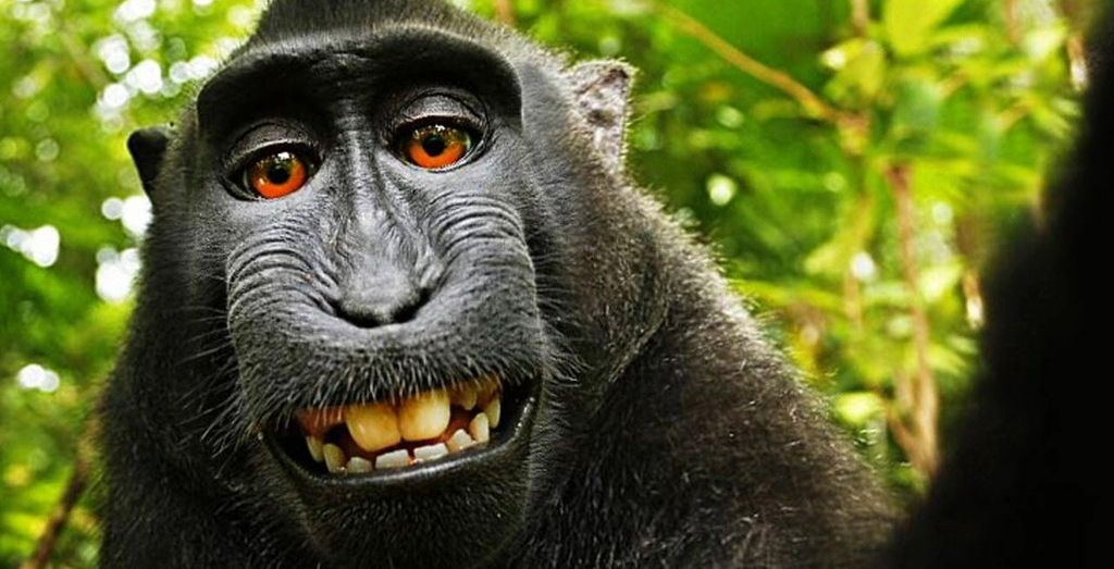 A selfie perturbadora
