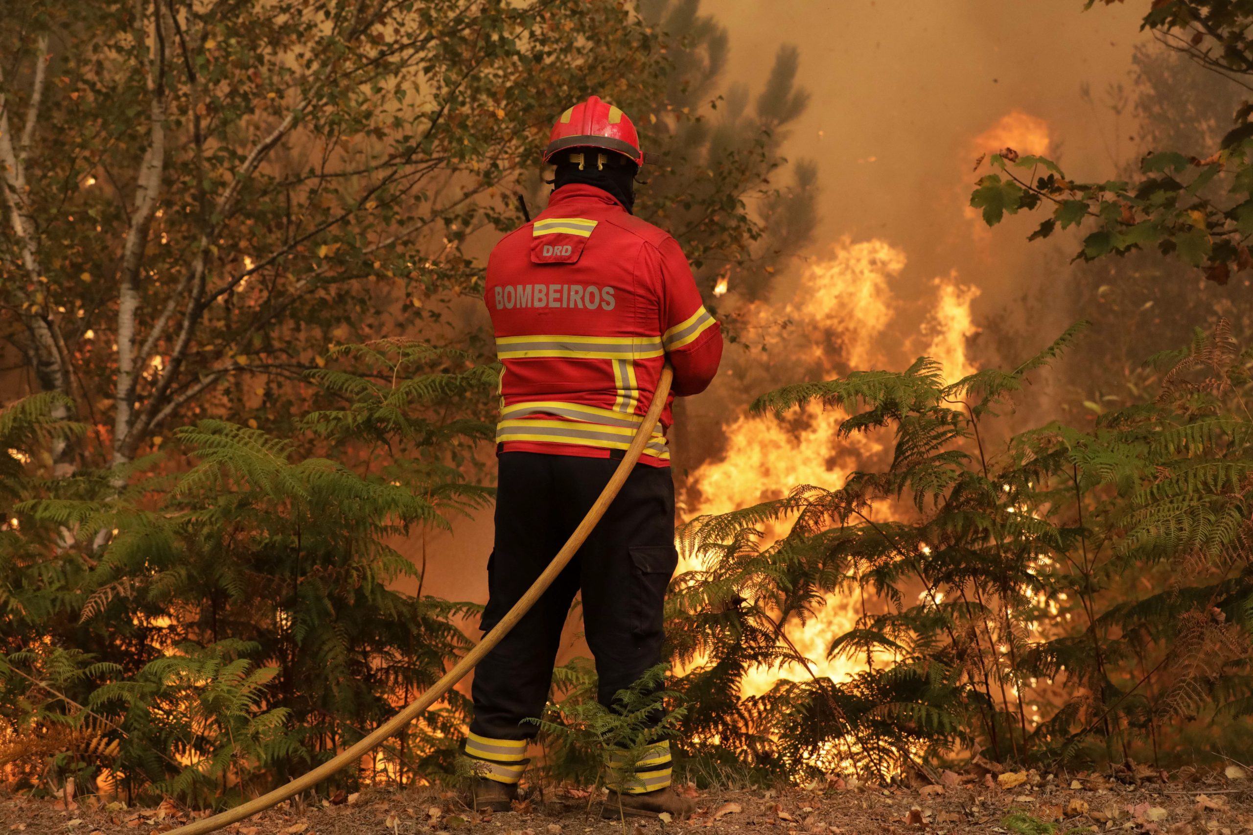 Fogo que ameaçou três fábricas na Trofa foi extinto