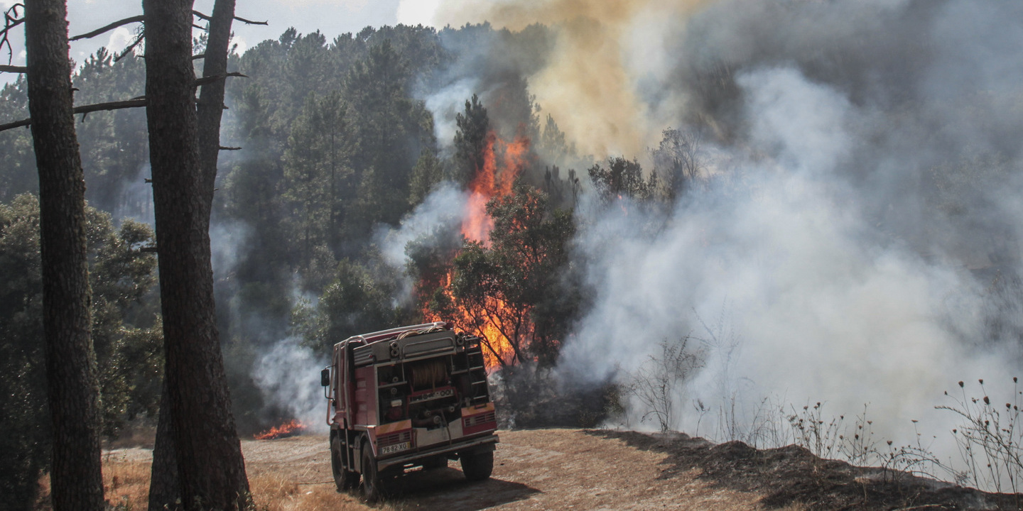 Frente de fogo com origem em Seia atinge Covilhã. Na Serra da Estrela, bombeiros combatem fogo em zonas de grande altitude