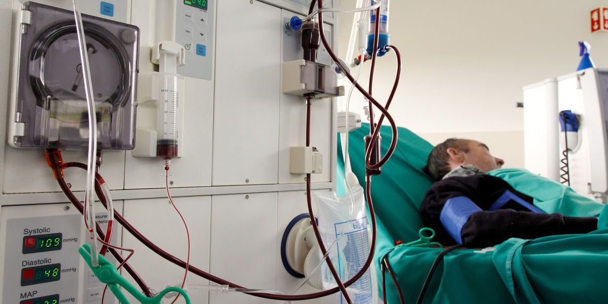 Investigadoras criam ferramenta para detetar rapidamente casos complexos de doentes renais