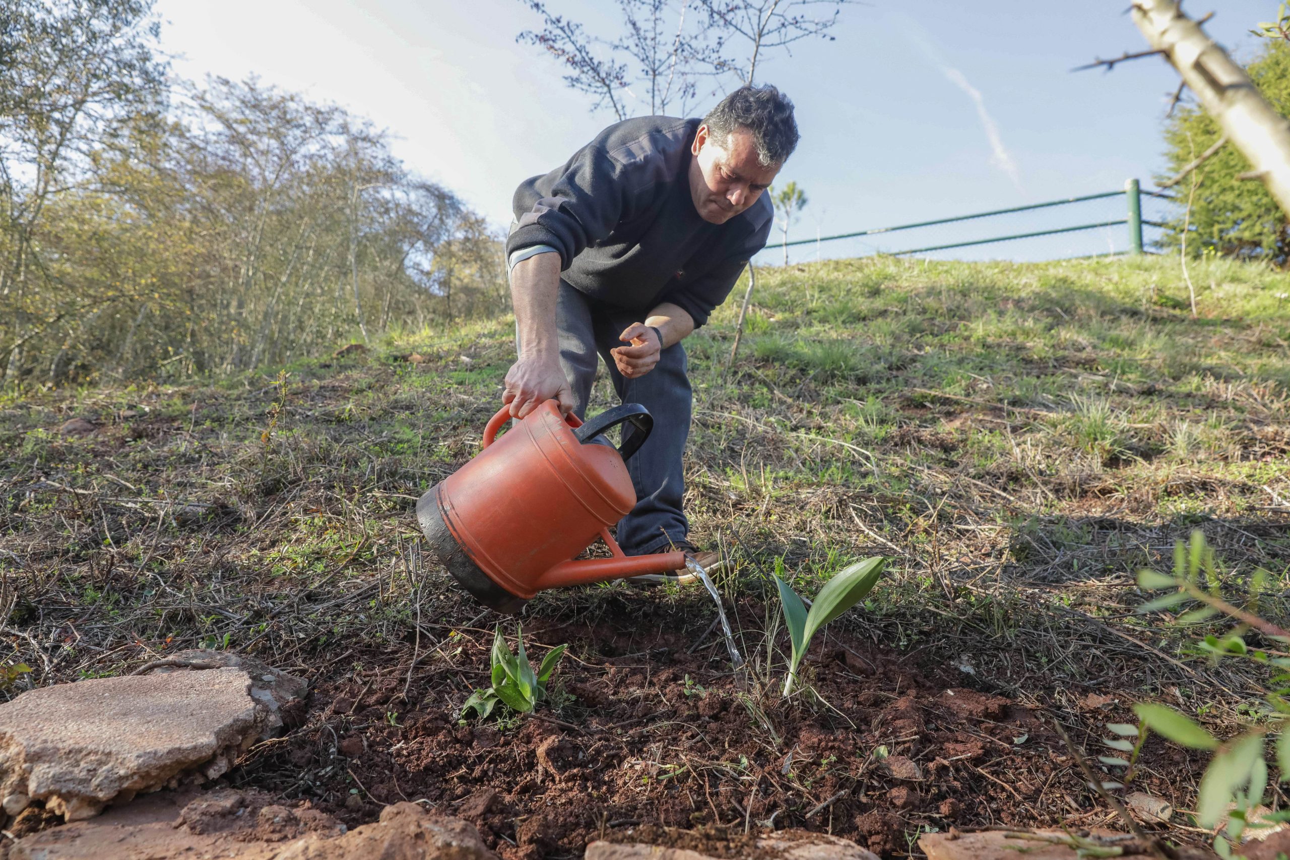 “Ervas daninhas”. Este projeto é muito mais do que um curso de jardinagem