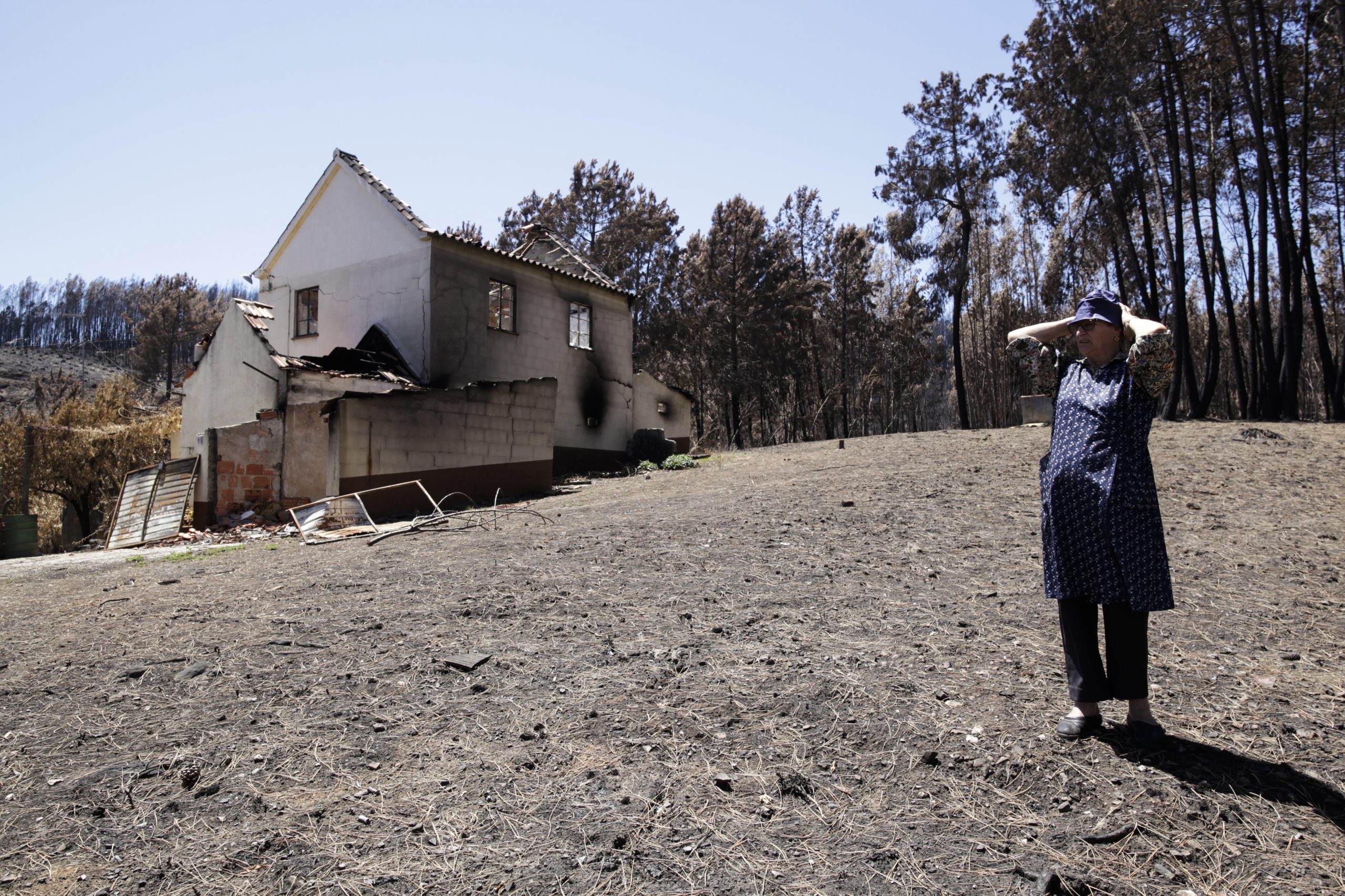 Incêndios: 83% dos formulários para reconstrução entregues dentro do prazo