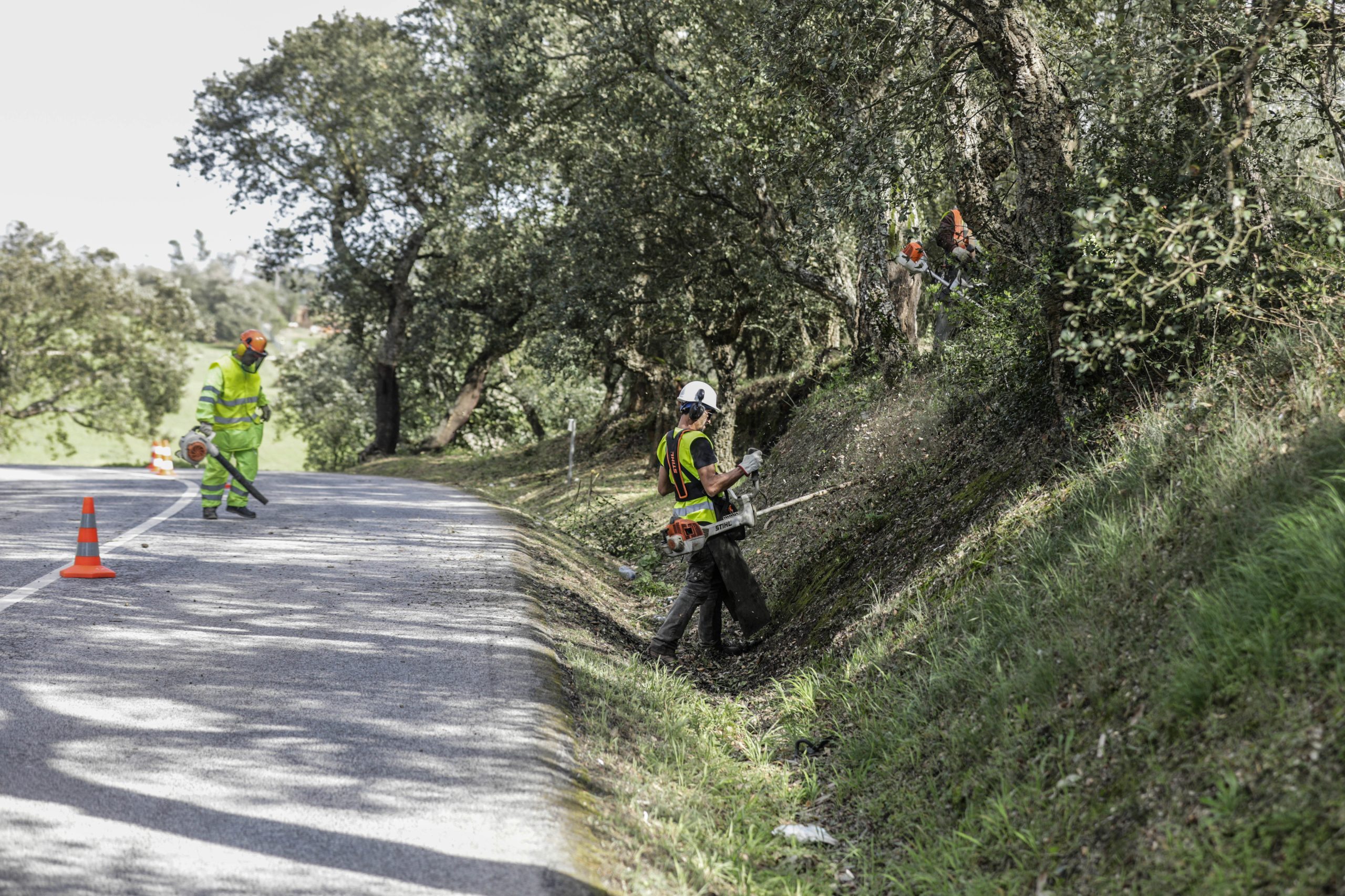 Proteção Civil alerta para burlas com coimas sobre limpeza dos terrenos florestais