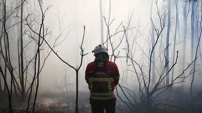 Em Bustelo arderam 2.000 hectares e tudo pode ter começado com o rebentamento de um pneu