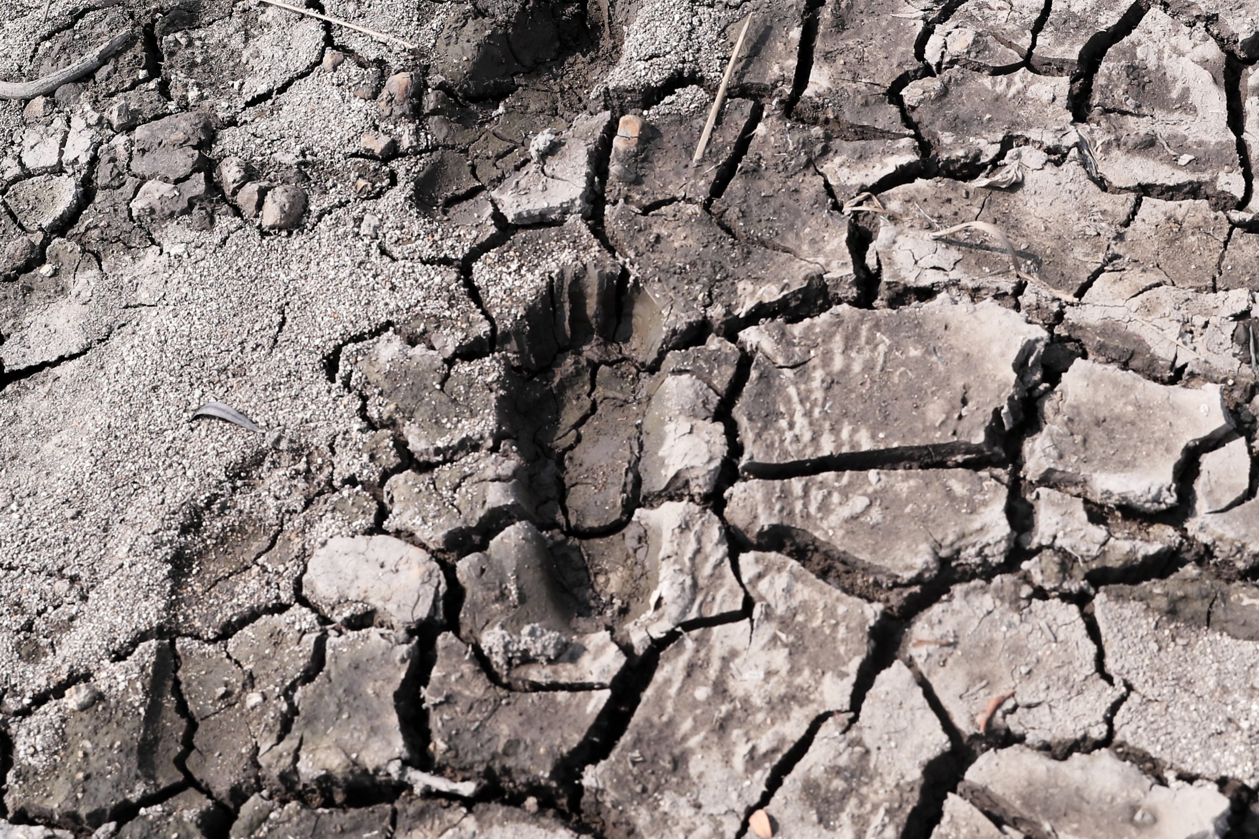Investigação afirma que em 2080 um terço da população mundial vai viver sob “condições extremas” de calor