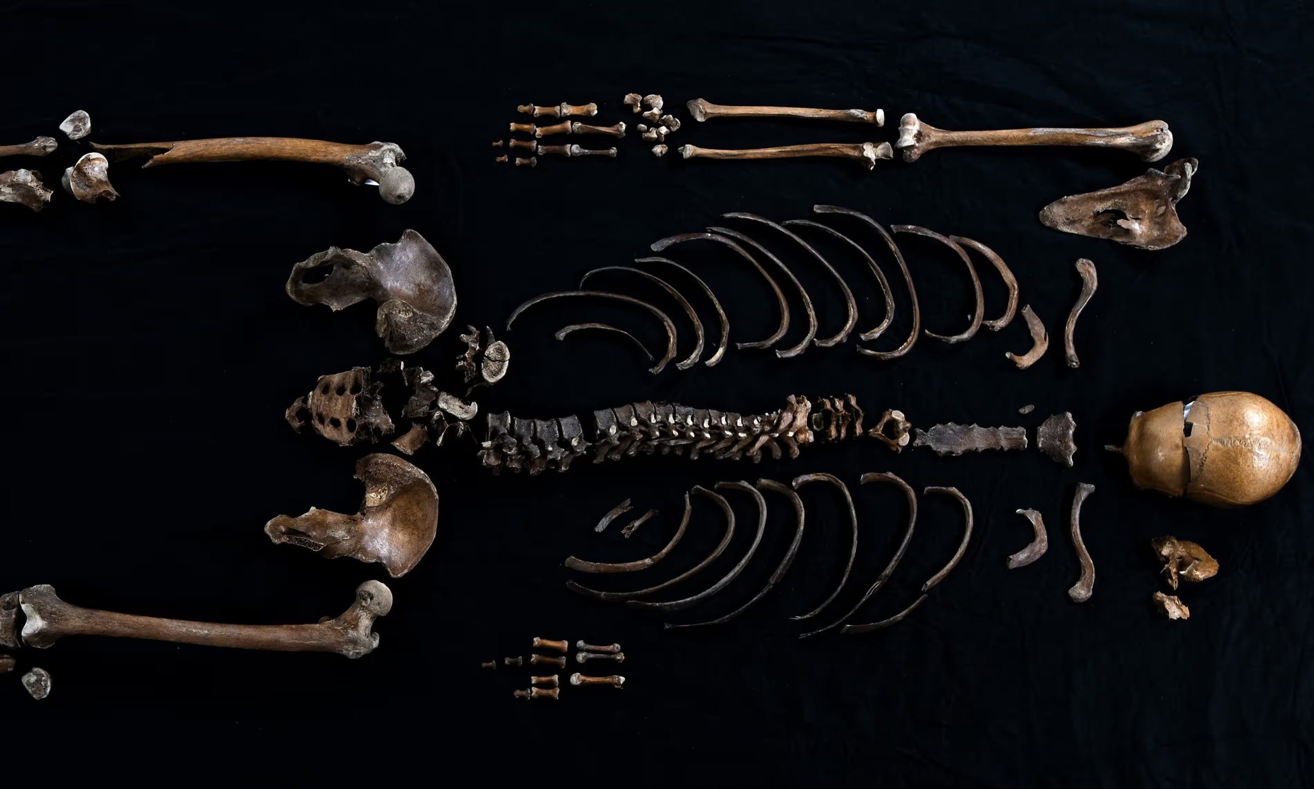 Descobertos restos mortais de homem cuja morte foi descrita numa saga norueguesa de 1197