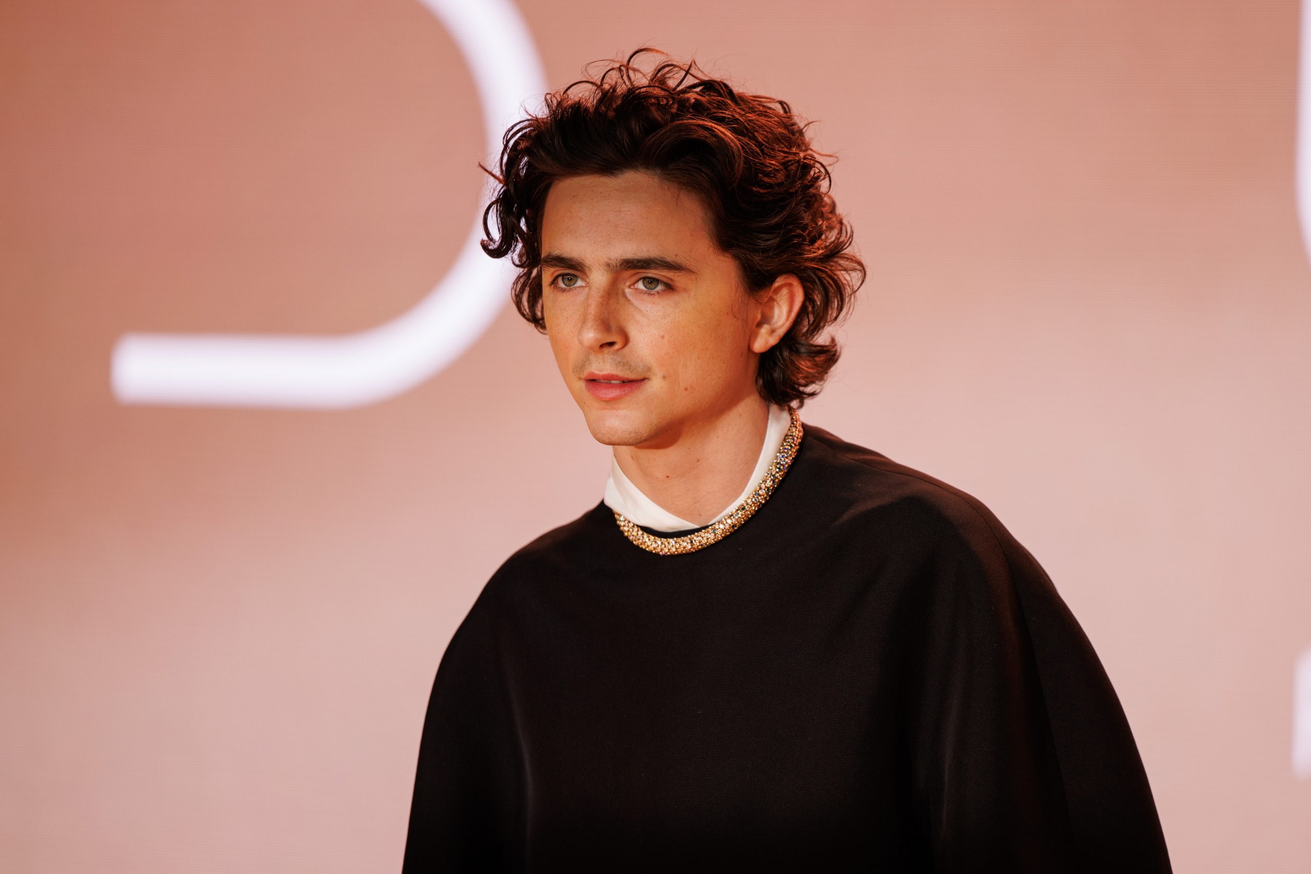 Concurso de sósias de Timothée Chalamet teve um candidato surpresa: o próprio