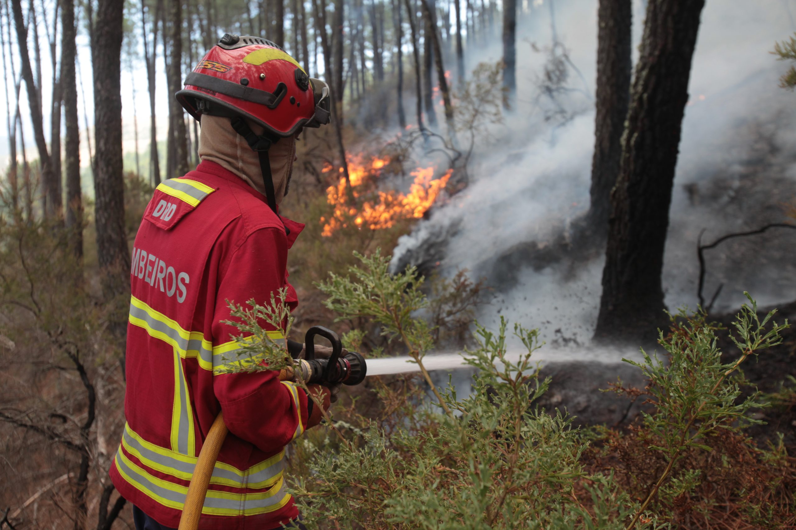 Vinte e um concelhos de cinco distritos em perigo máximo de incêndio esta quarta-feira