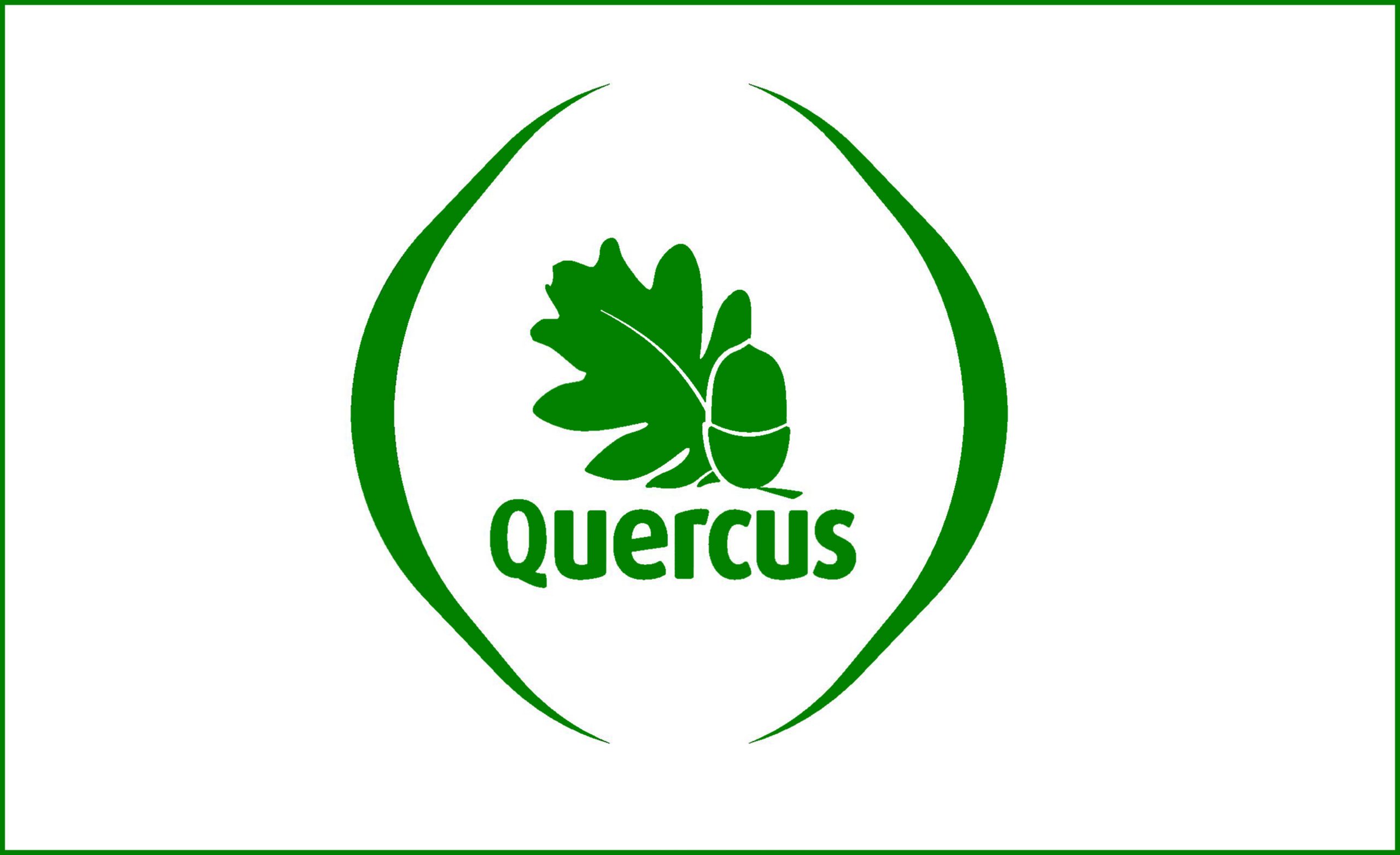 Quercus denuncia corte de “mais de um milhar” de azinheiras no Alto Alentejo