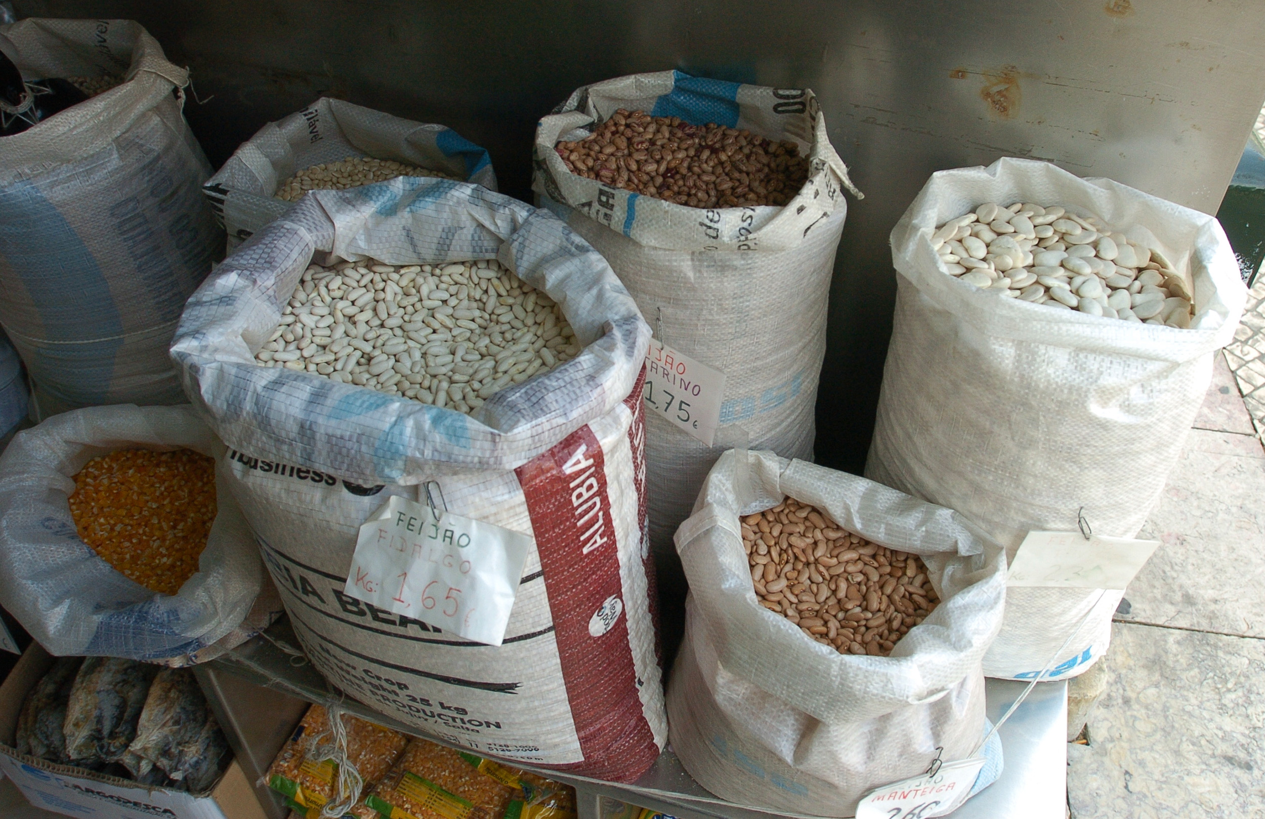 Uma lata de feijão substitui a proteína animal?