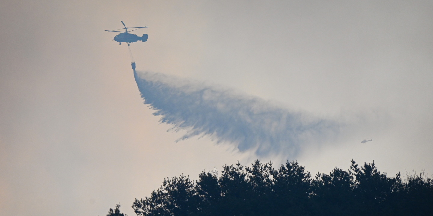 Mulher de 81 anos detida por suspeita de incêndios florestais em Loulé