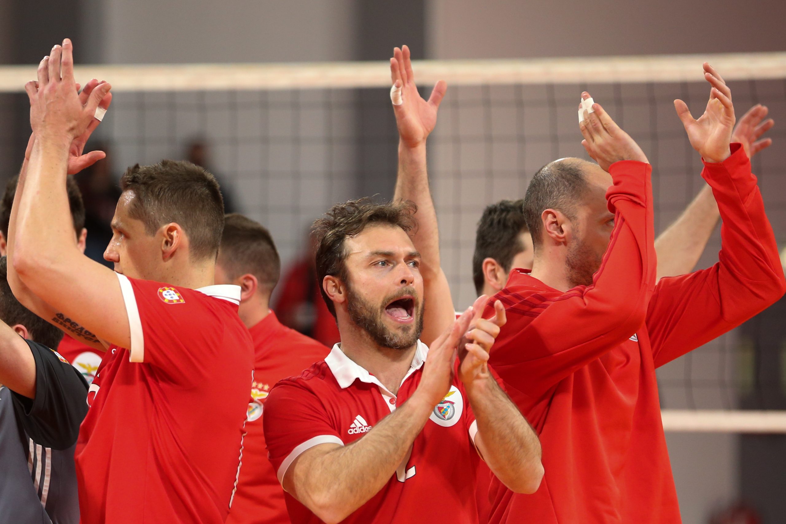 Brasileiro Marcel Matz é o novo treinador de voleibol do Benfica