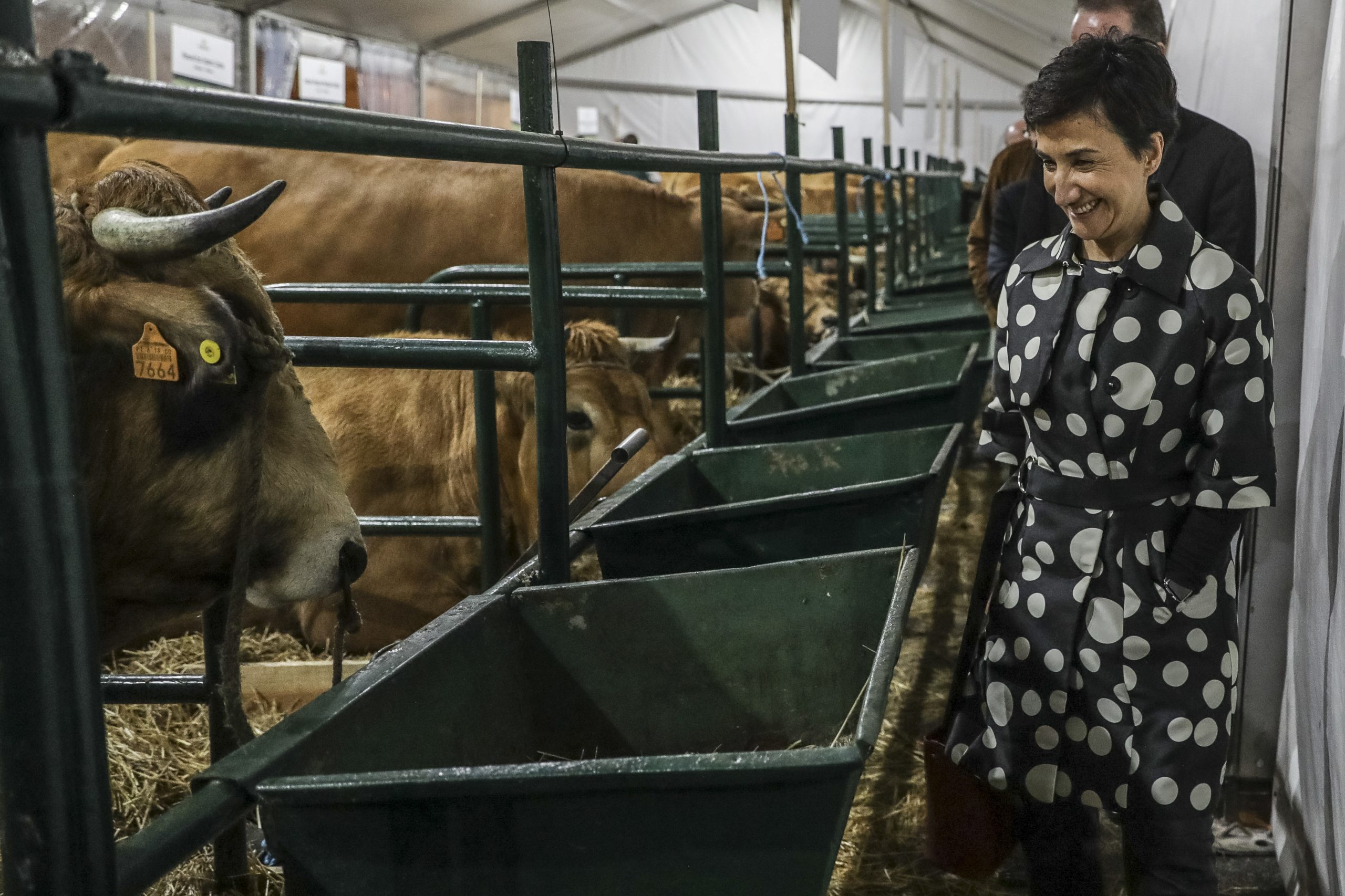 Bloco chama ministra da Agricultura ao parlamento para esclarecer atrasos na lei sobre animais circenses