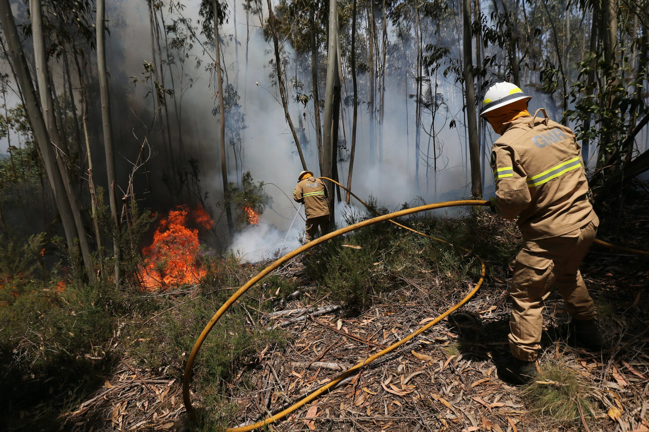 Incêndio em Góis provoca 18 feridos ligeiros