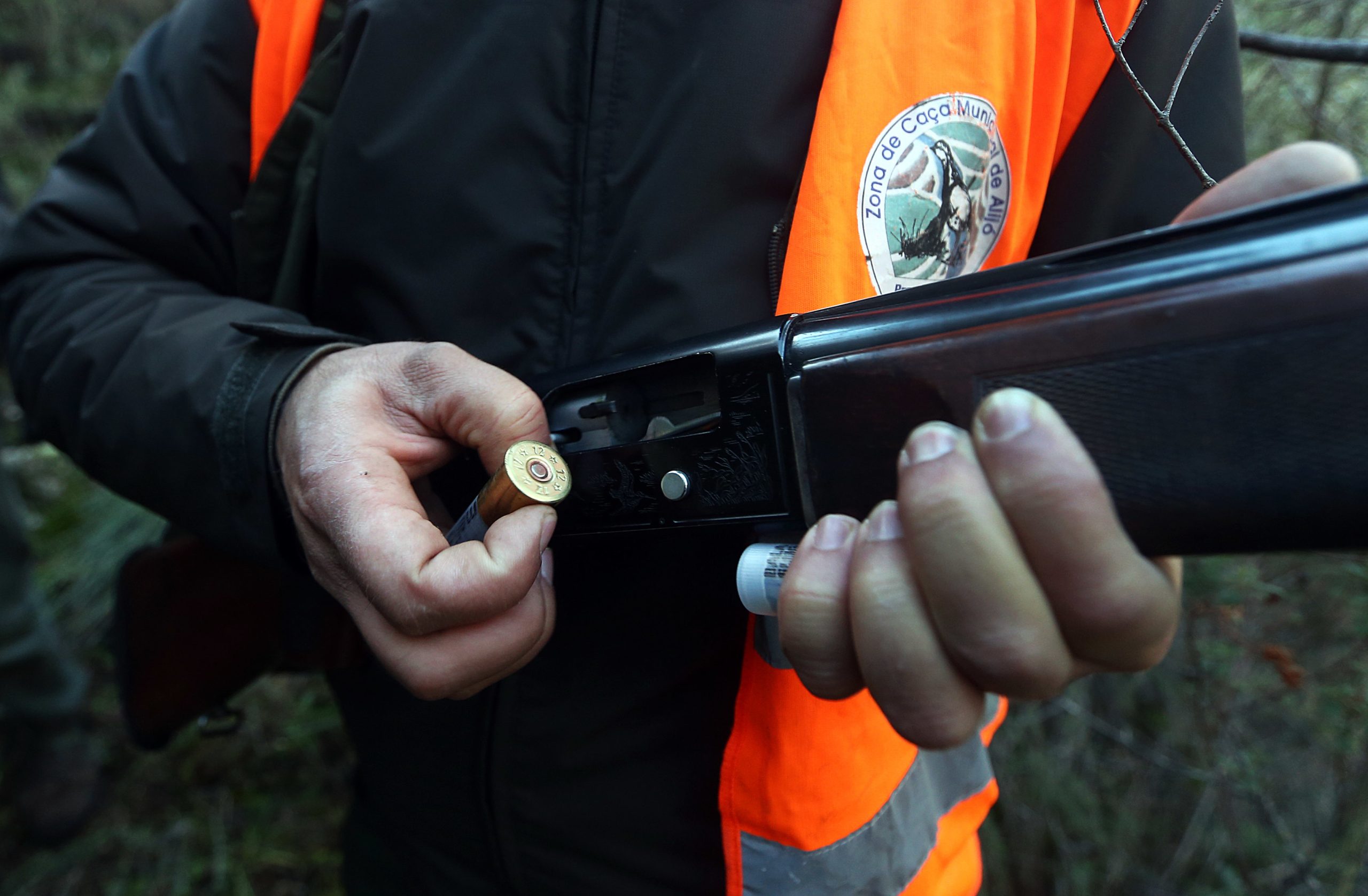 Caçador ferido com gravidade após disparo em Castro Daire