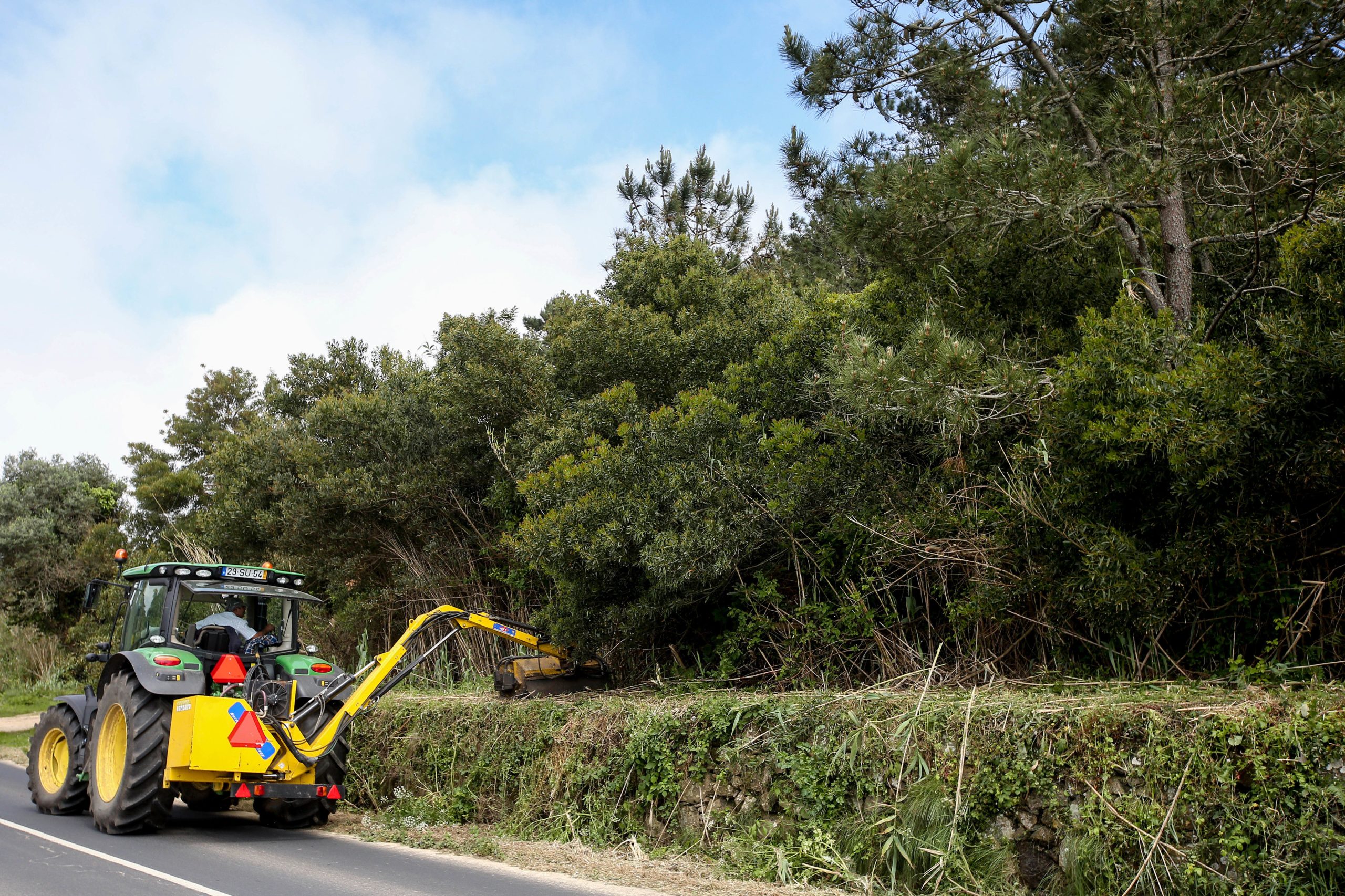Cinco Planos Regionais de Ordenamento Florestal concluídos em junho
