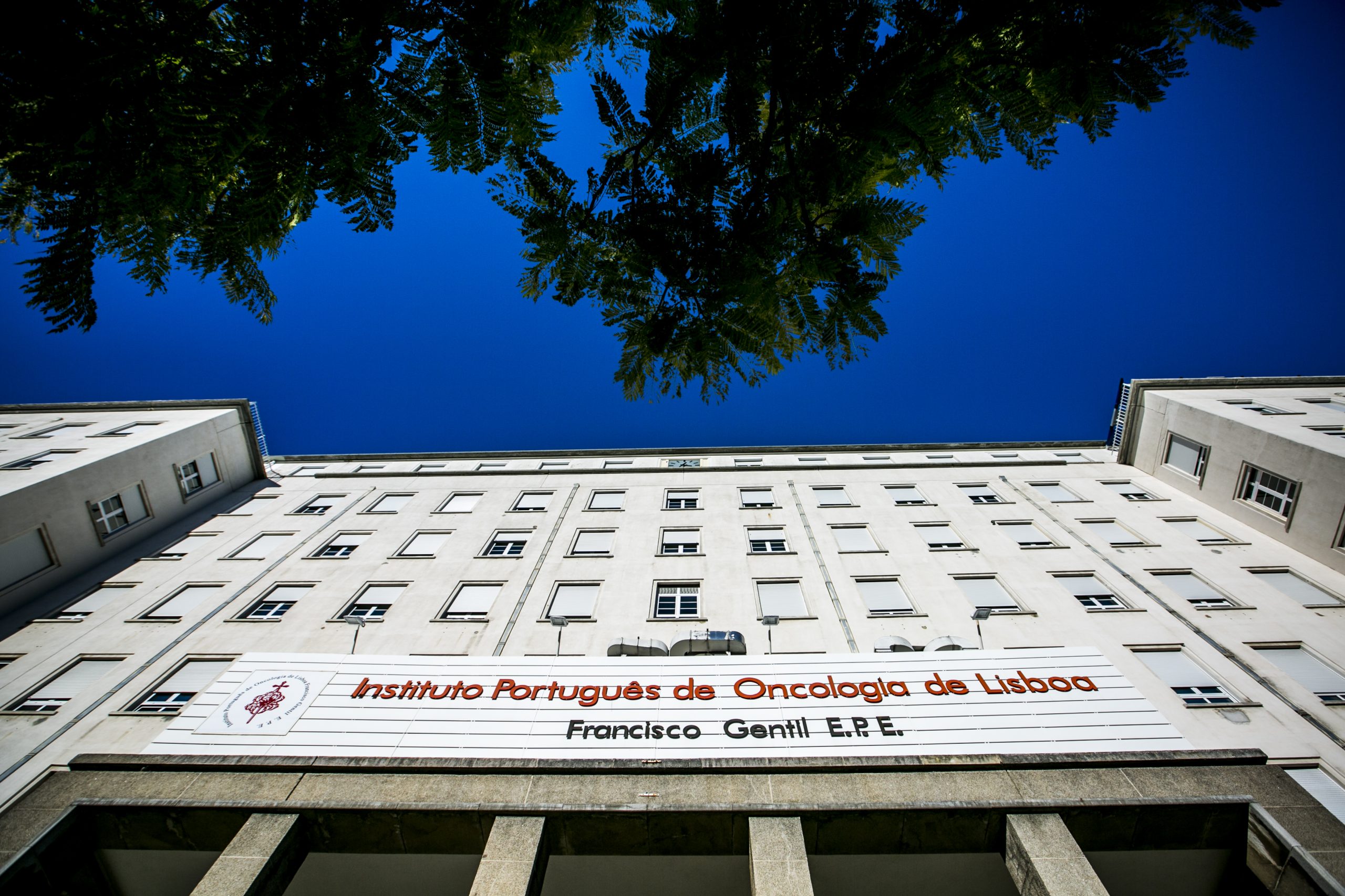 Moncorvo alarga transporte gratuito a doentes oncológicos do concelho