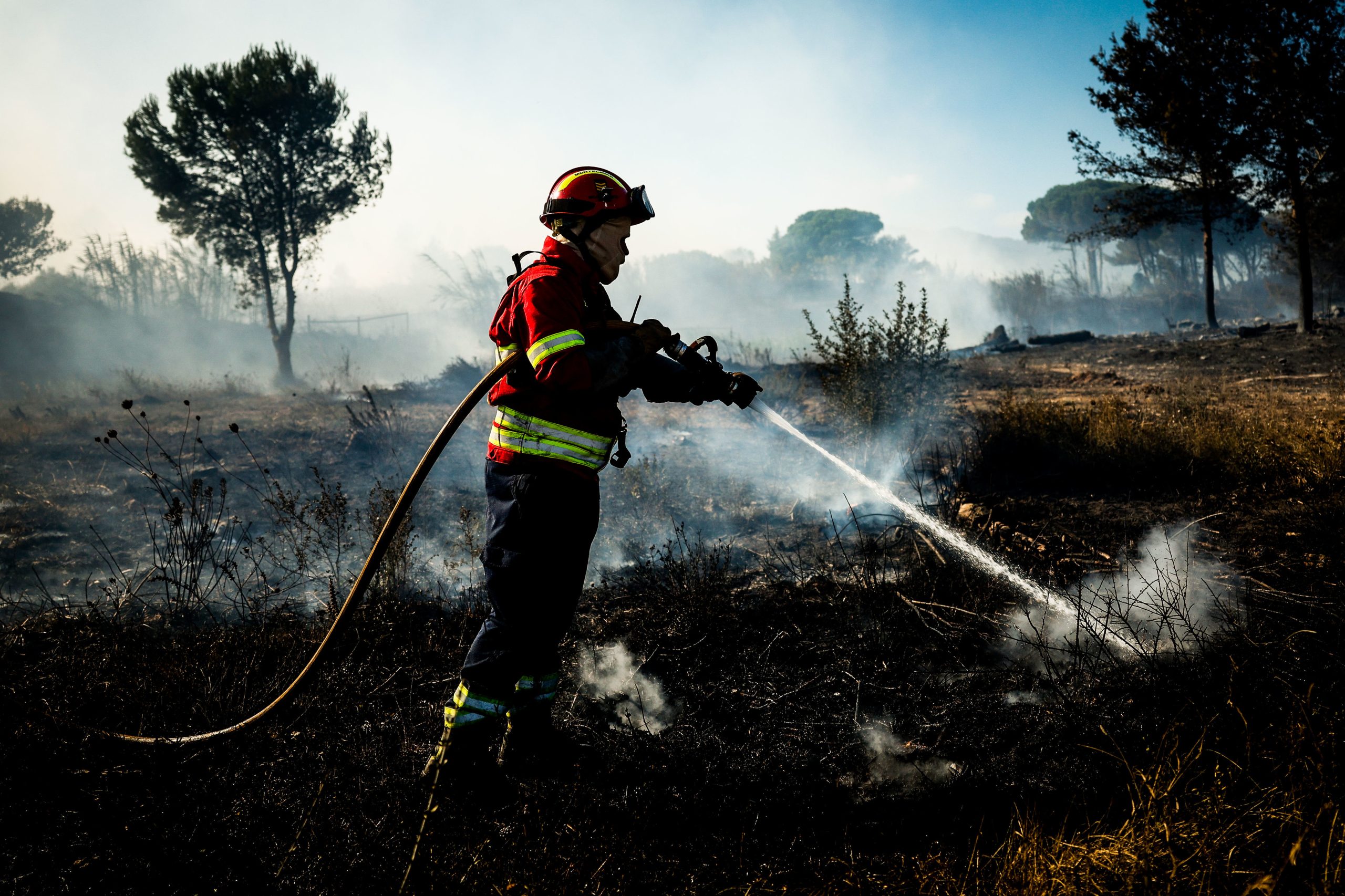 Fogo em Elvas com mais de 100 operacionais e três meios aéreos