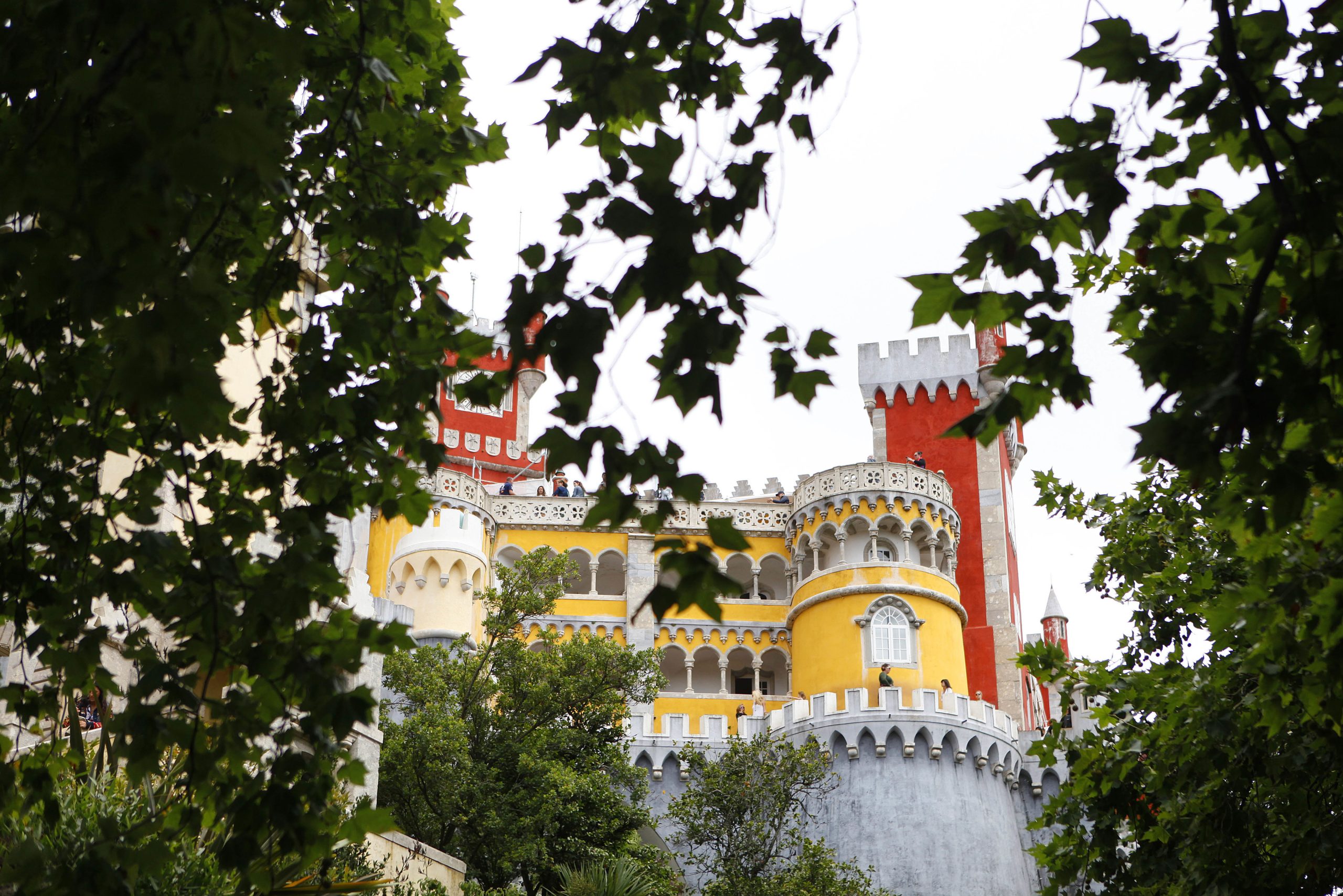 Greve dos trabalhadores da Parques de Sintra com adesão total