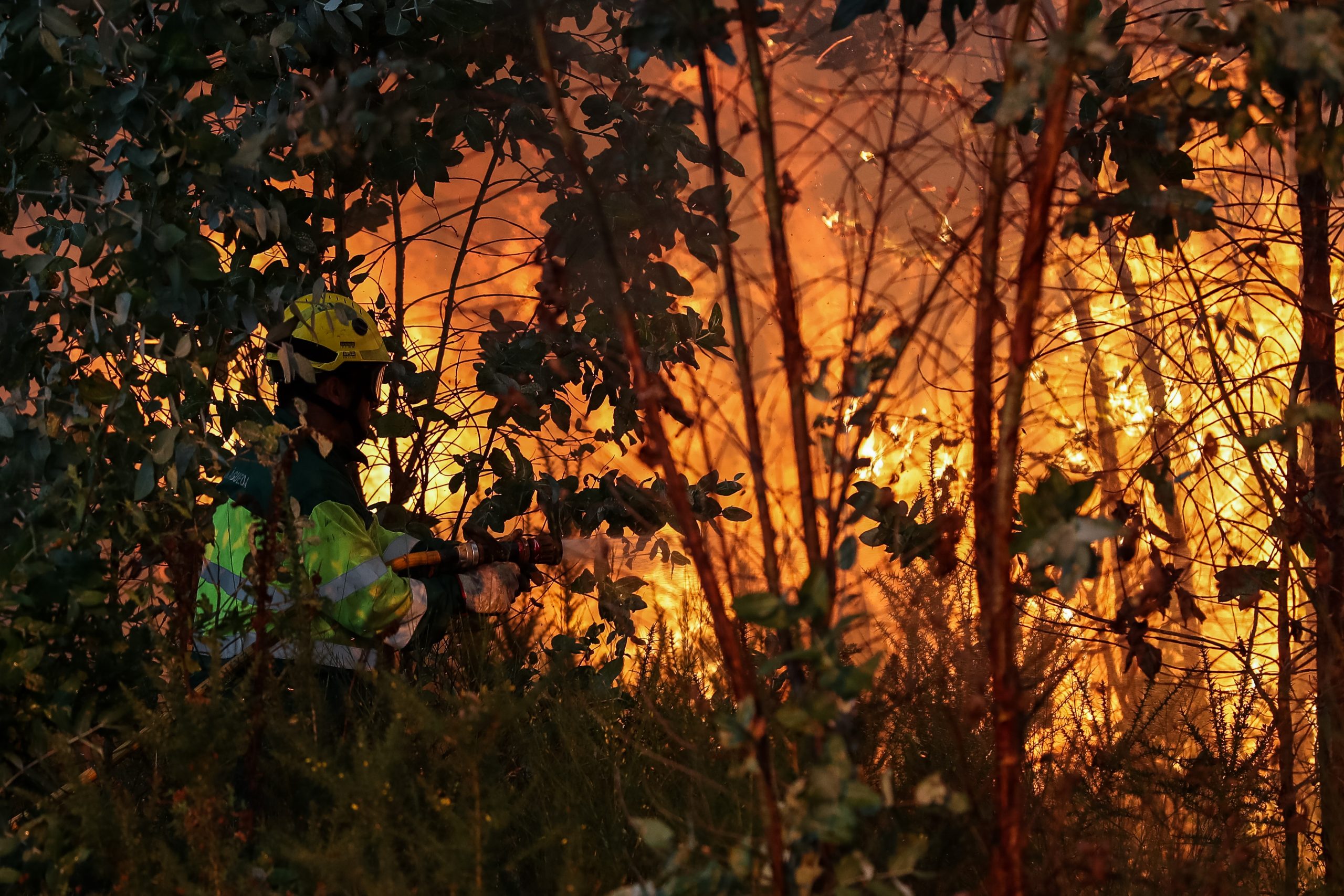 Mais de 200 operacionais combatem fogo na Pampilhosa da Serra. Incêndio já está dominado