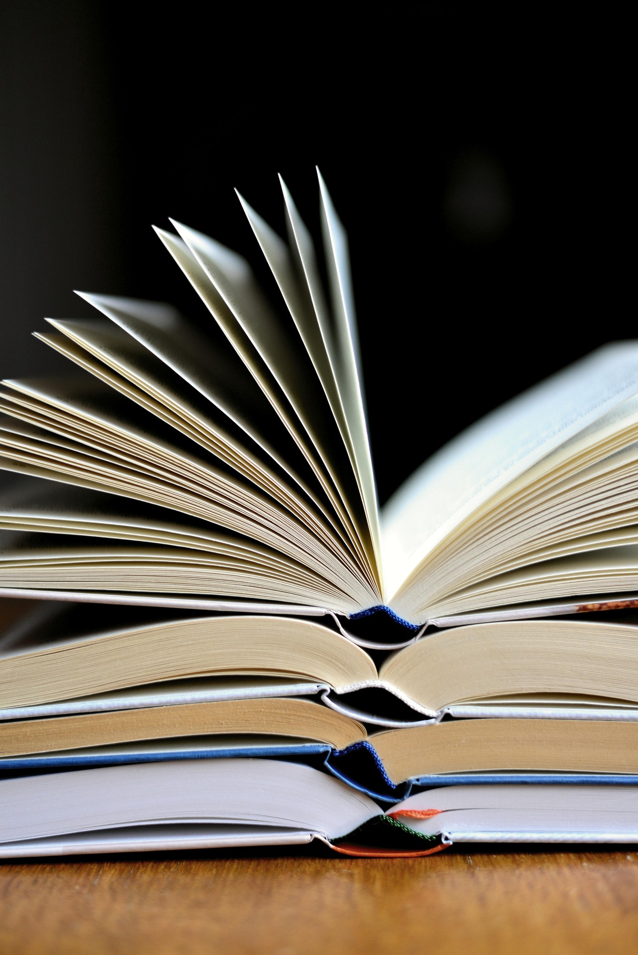 IRS à vista: contribuintes poderão deduzir IVA de livros e atividades culturais