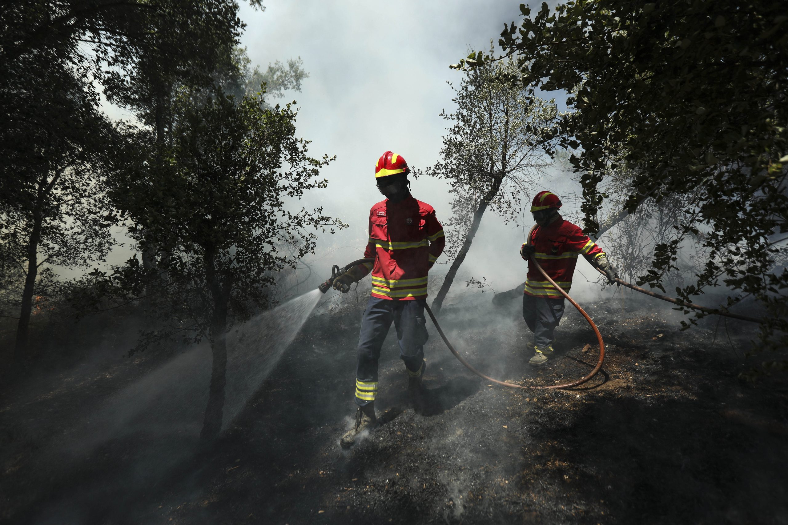 Mais de 1.400 operacionais no terreno. Três fogos em curso e dois em resolução