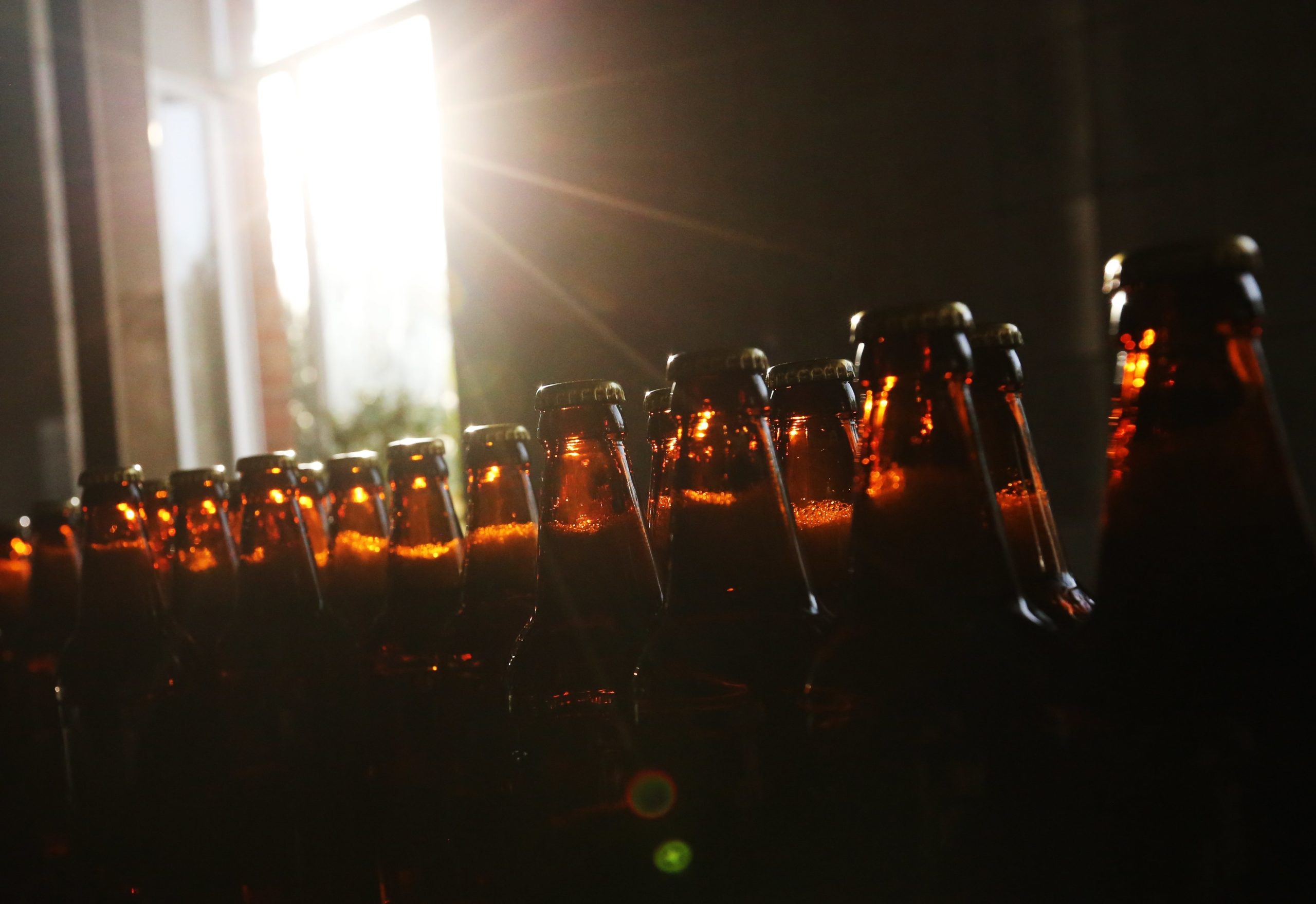 Todos os ingredientes de uma cerveja passam a ter de estar no rótulo