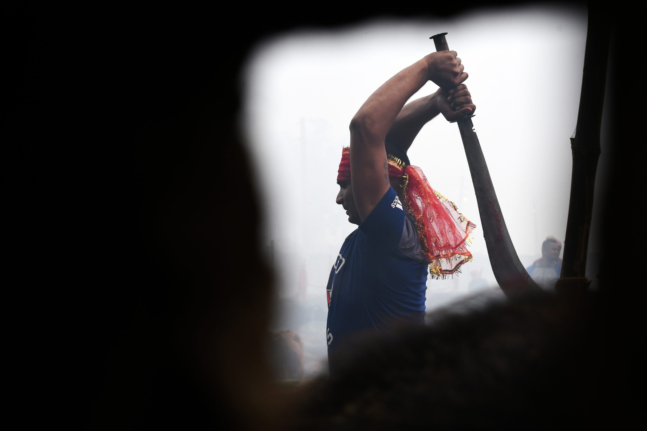 Milhares de cabras e búfalos mortos no maior ritual de sacrifício animal do Mundo no Nepal