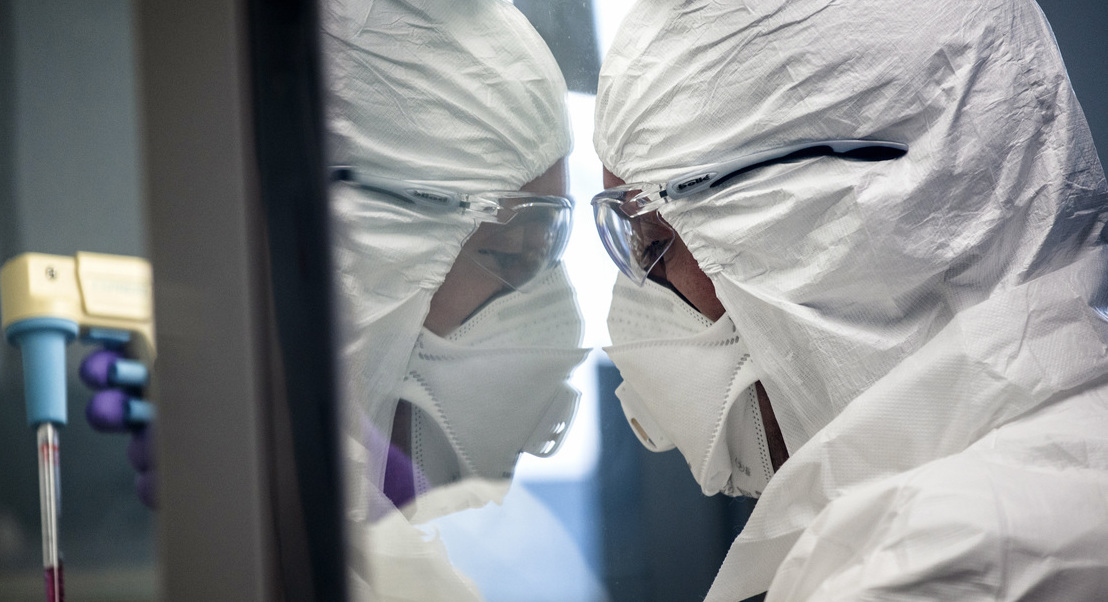 Covid-19: Biotecnológica com sede em Cantanhede inicia testes de vacina em ratinhos