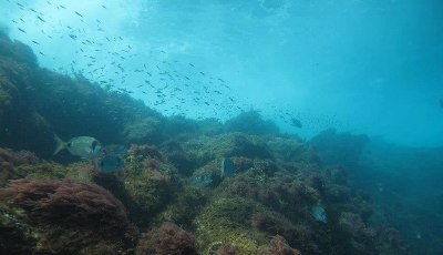 Tesouro perdido há 300 anos. Descobertos ao largo de Madagáscar os destroços de um navio português capturado por piratas