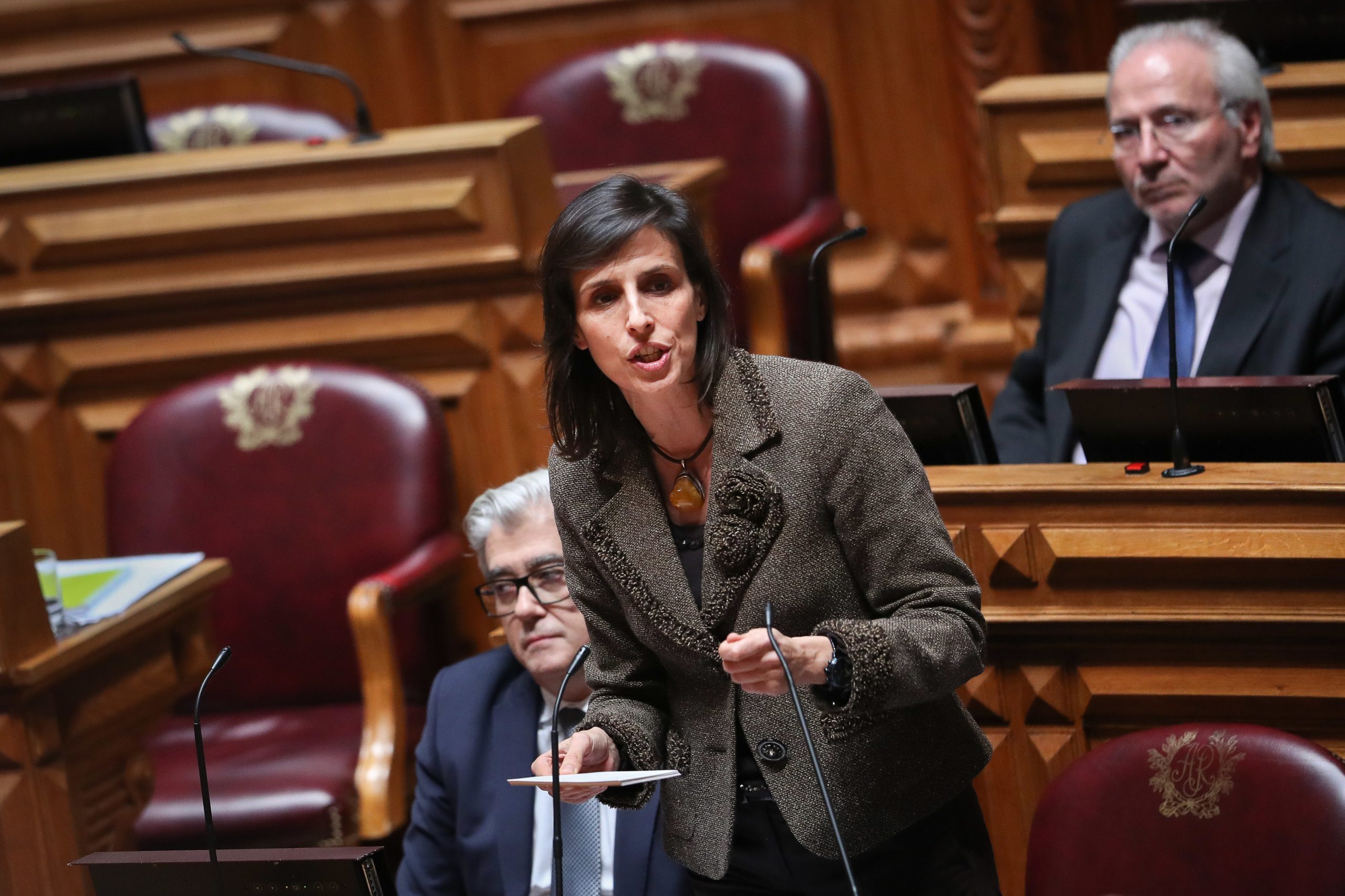 Deputada do PS acumulou funções como consultora da REN durante nove meses
