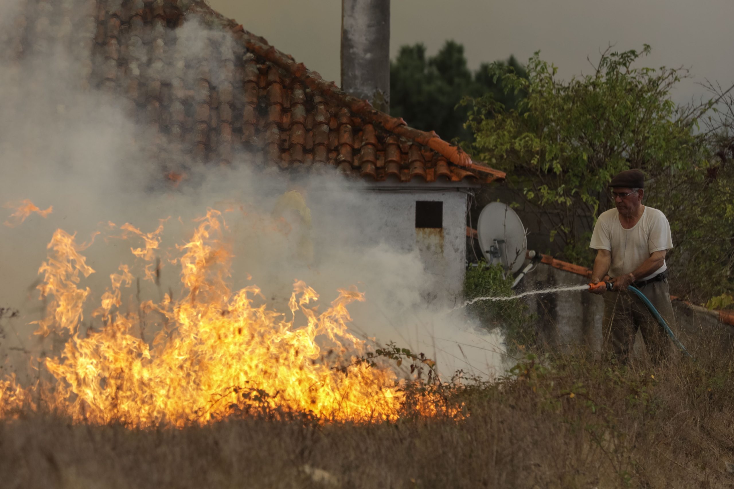 Incêndios: Evacuado parque de campismo da Praia da Tocha em Cantanhede