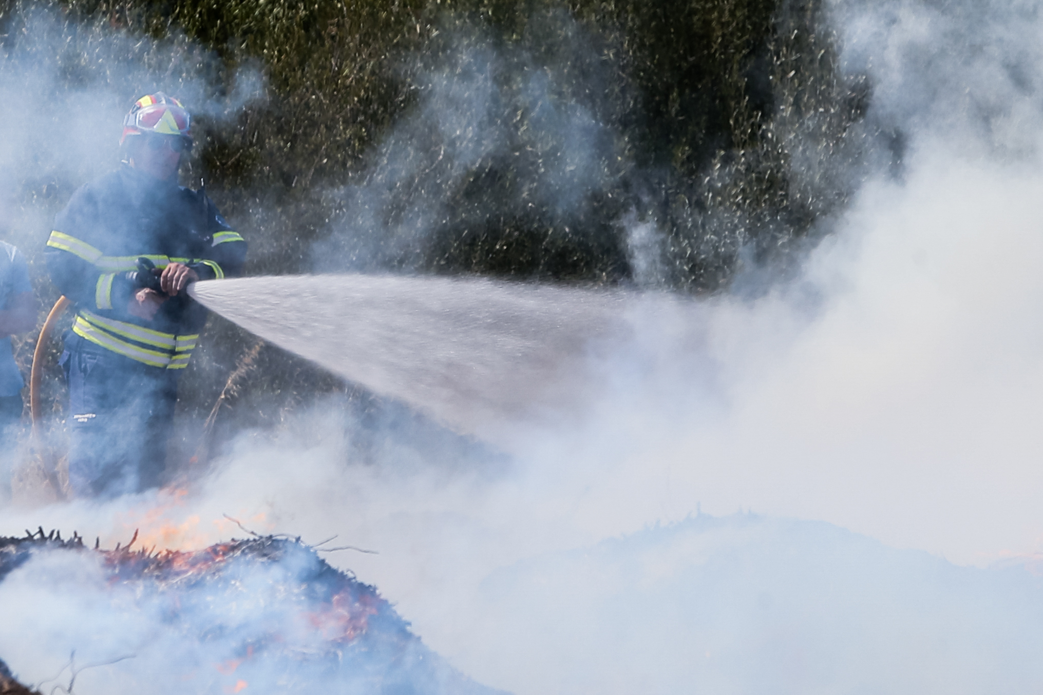 Incêndios: Fogo controlado no Campanário, Madeira, reacendeu-se, não há casas atingidas