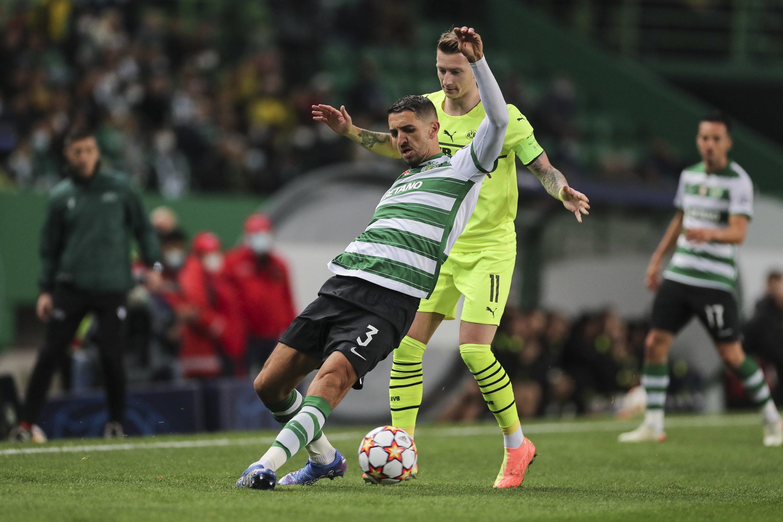 Feddal recupera de lesão e regressa aos treinos no Sporting