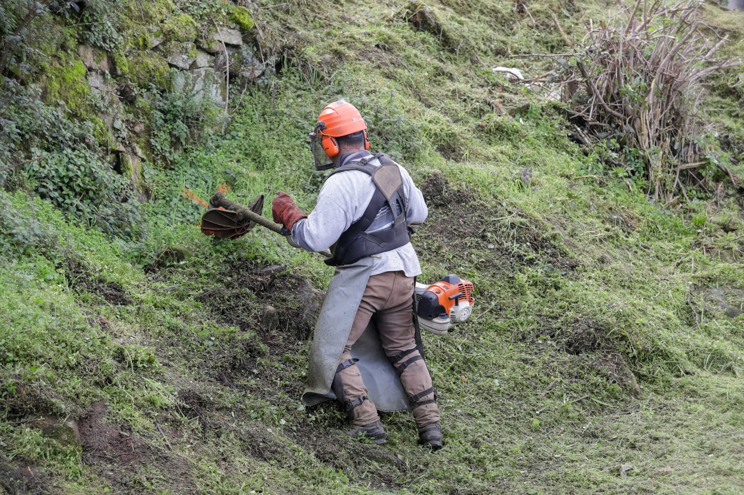 Prazo para limpar terrenos acaba hoje e há coimas para incumpridores