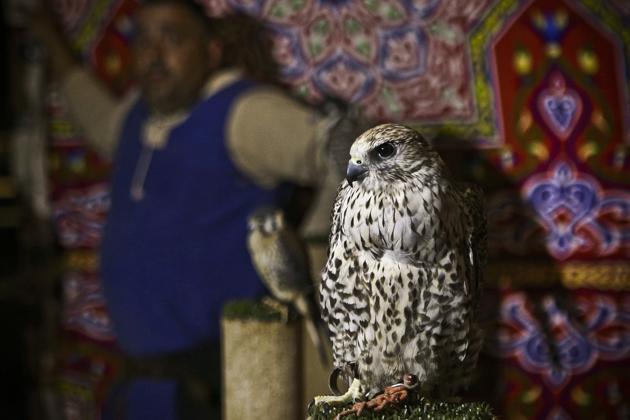 Mercado Medieval “regressa” a Almodôvar após três anos de interregno