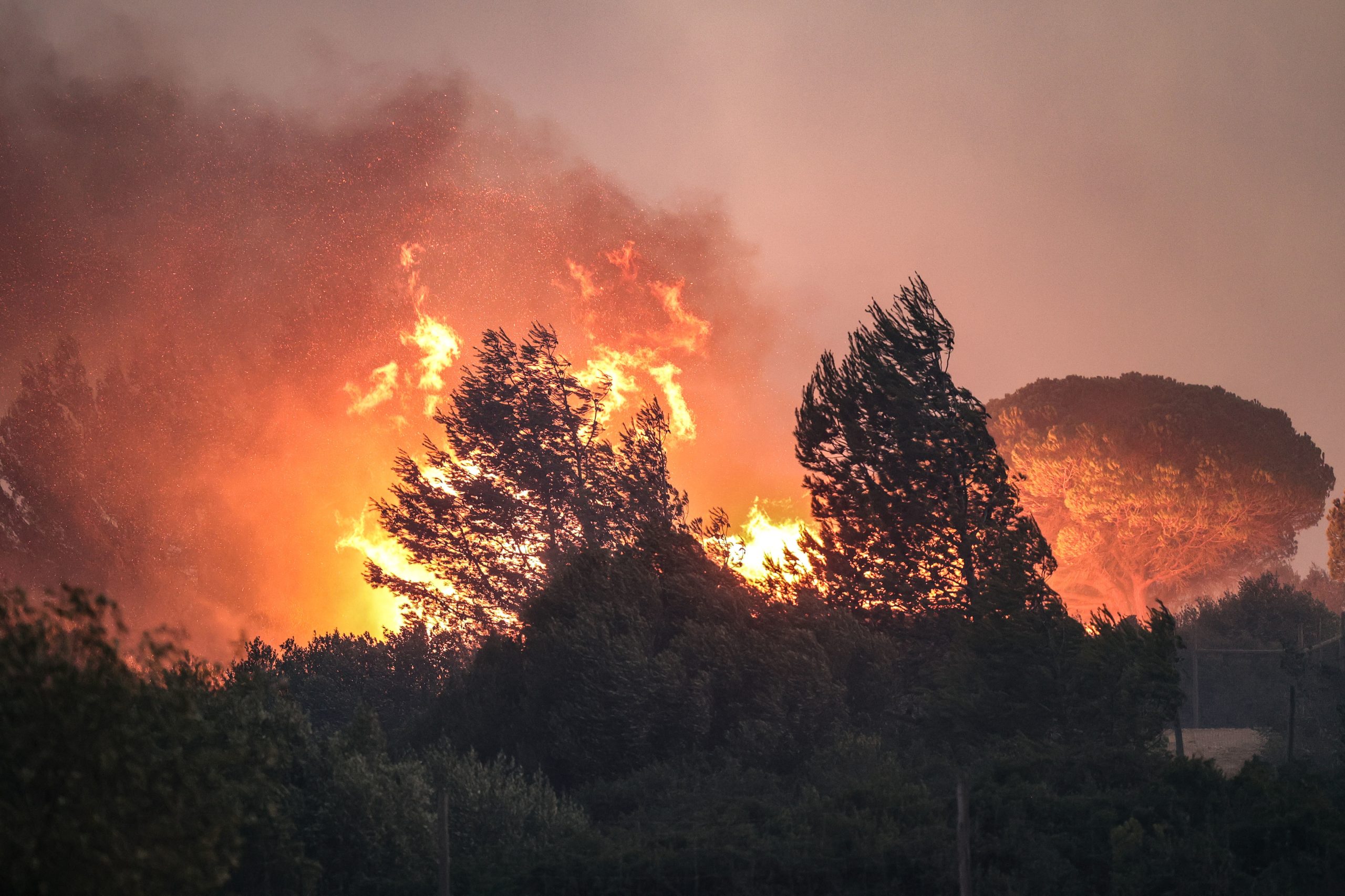 Chamas destroem 175 hectares e 20 colmeias em Almodôvar e Ourique