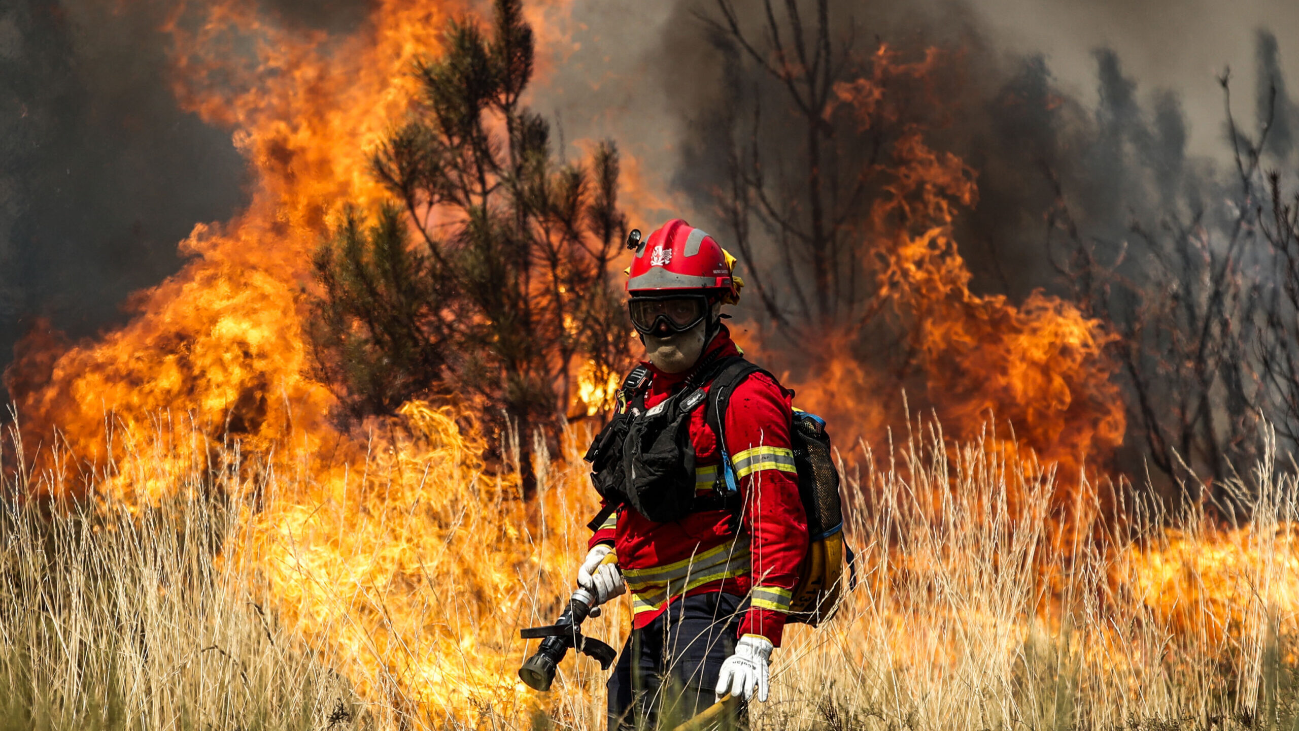 Incêndio em Monchique mobiliza perto de uma centena de operacionais