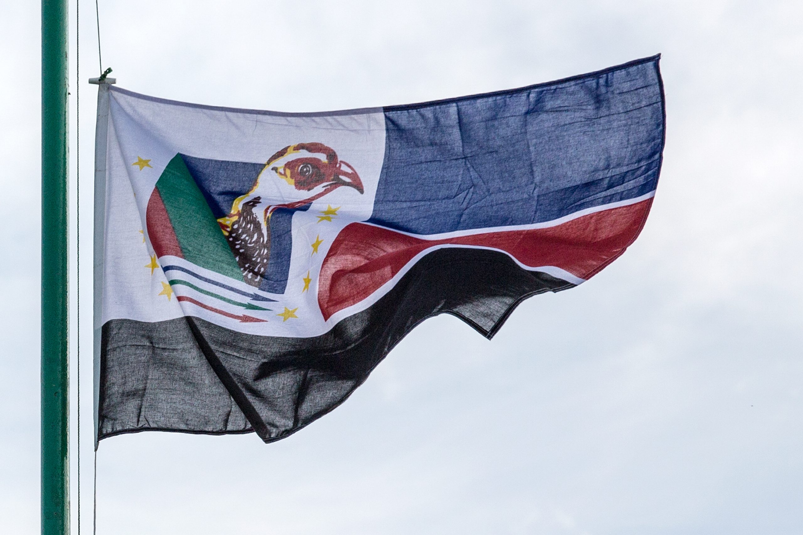 Frelimo considera desarmamento da Renamo passo importante para a paz