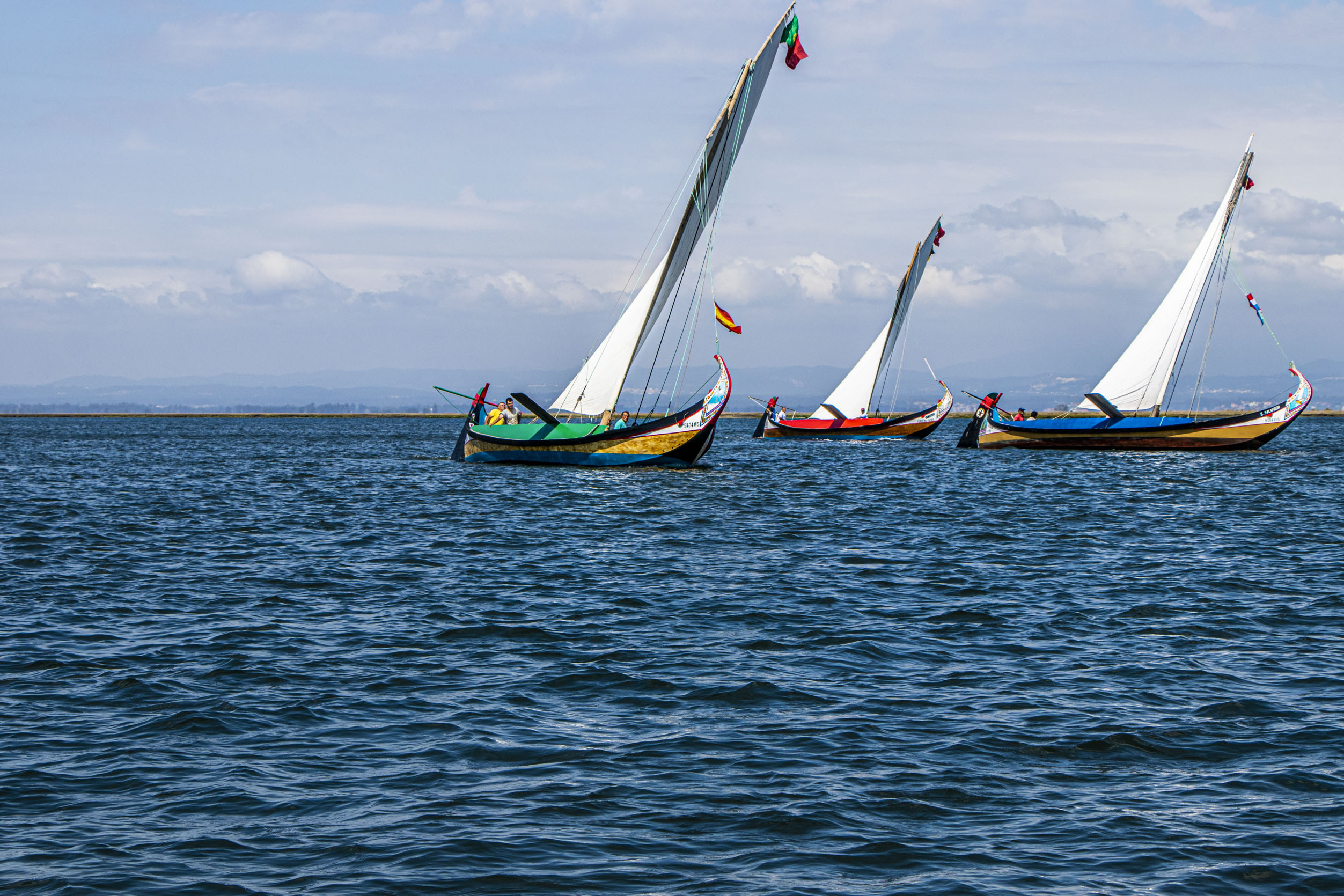 Peixe, música, guarda-chuvas e uma regata. A festa ao sabor da Ria de Aveiro